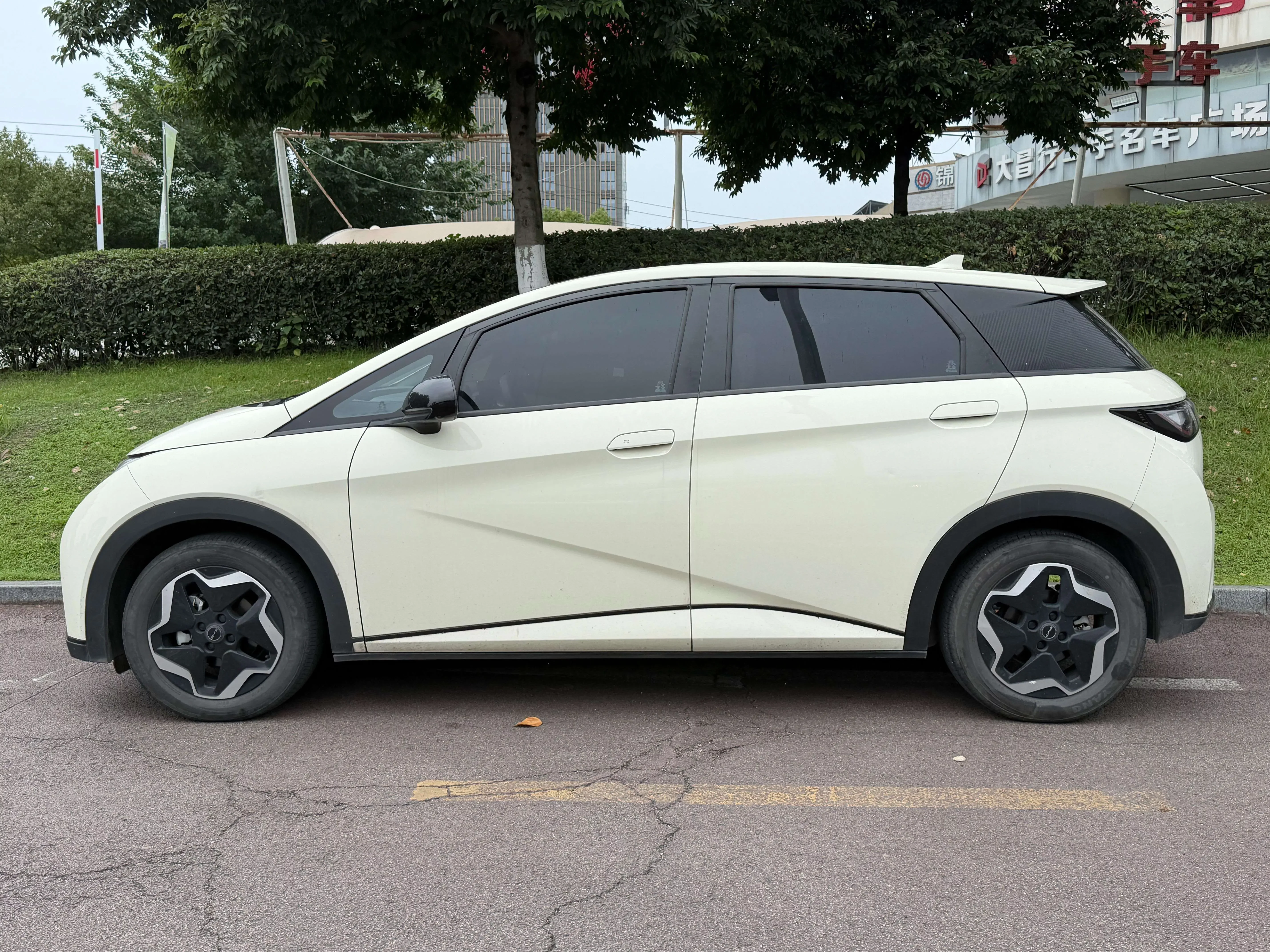 BYD dolphin