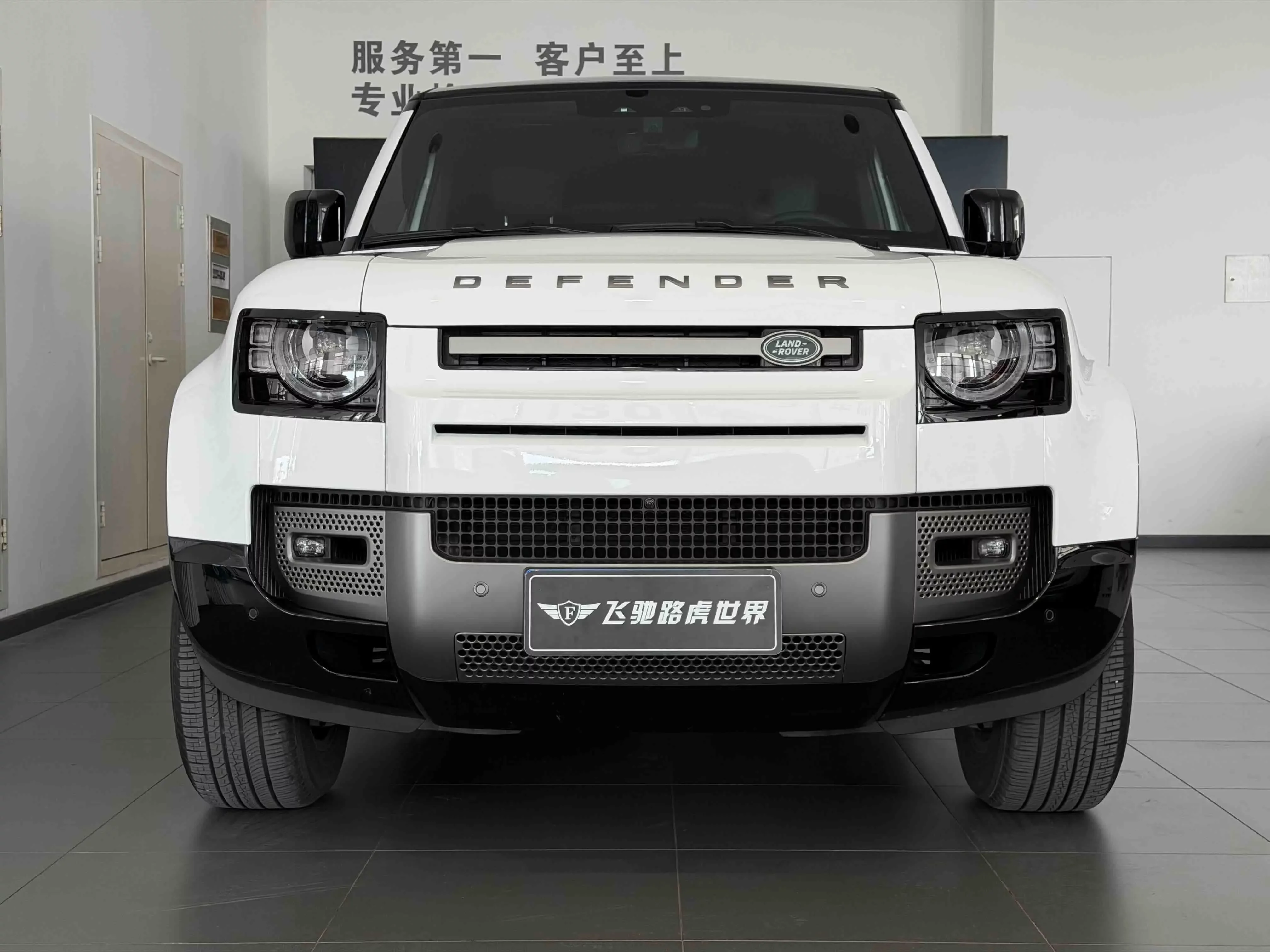 Land Rover guard