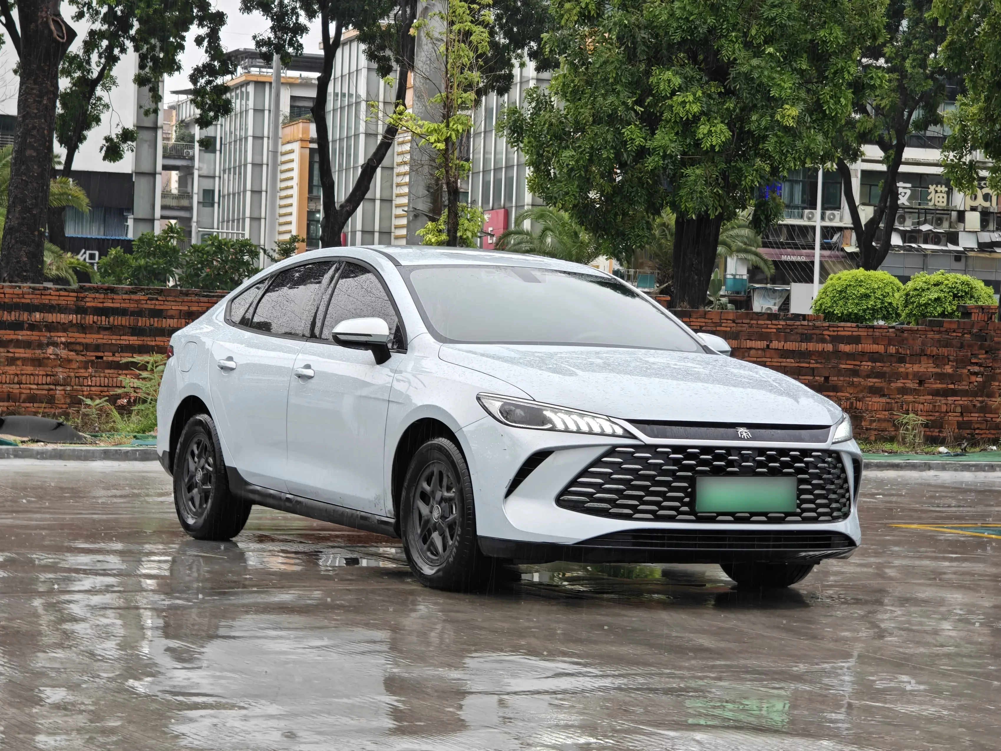 BYD Qin PLUS DM