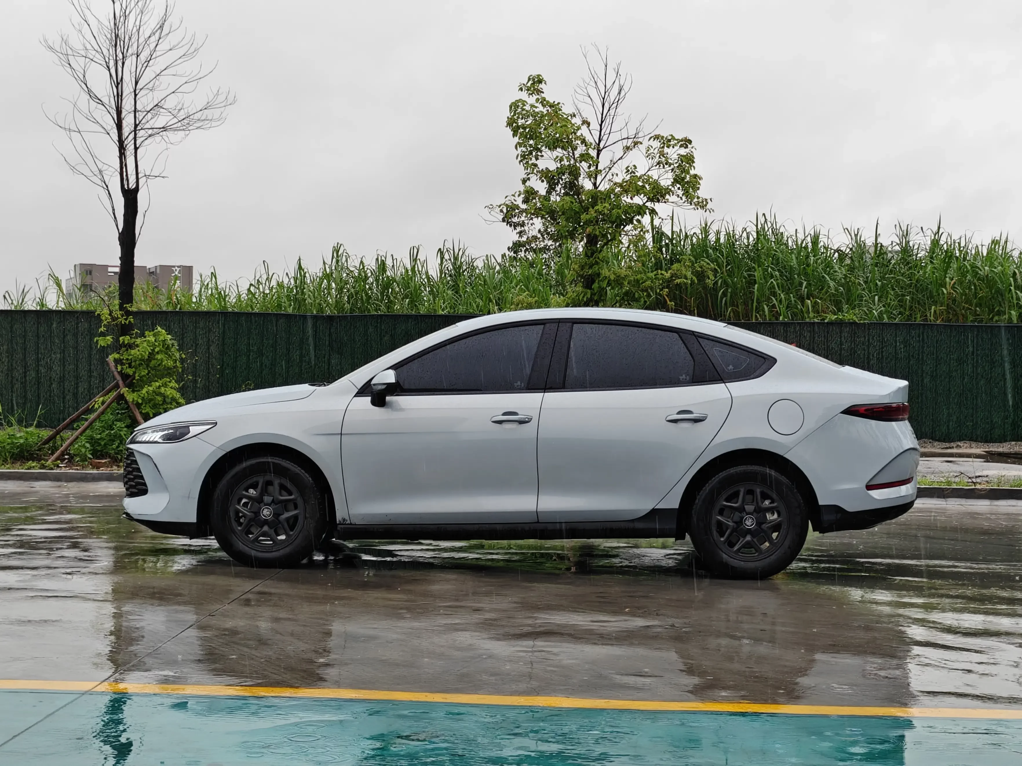 BYD Qin PLUS DM