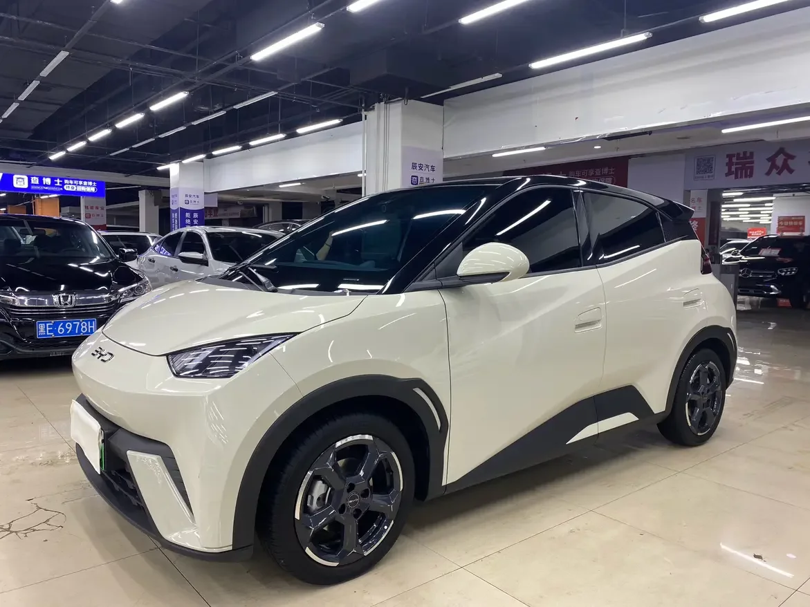BYD seagull