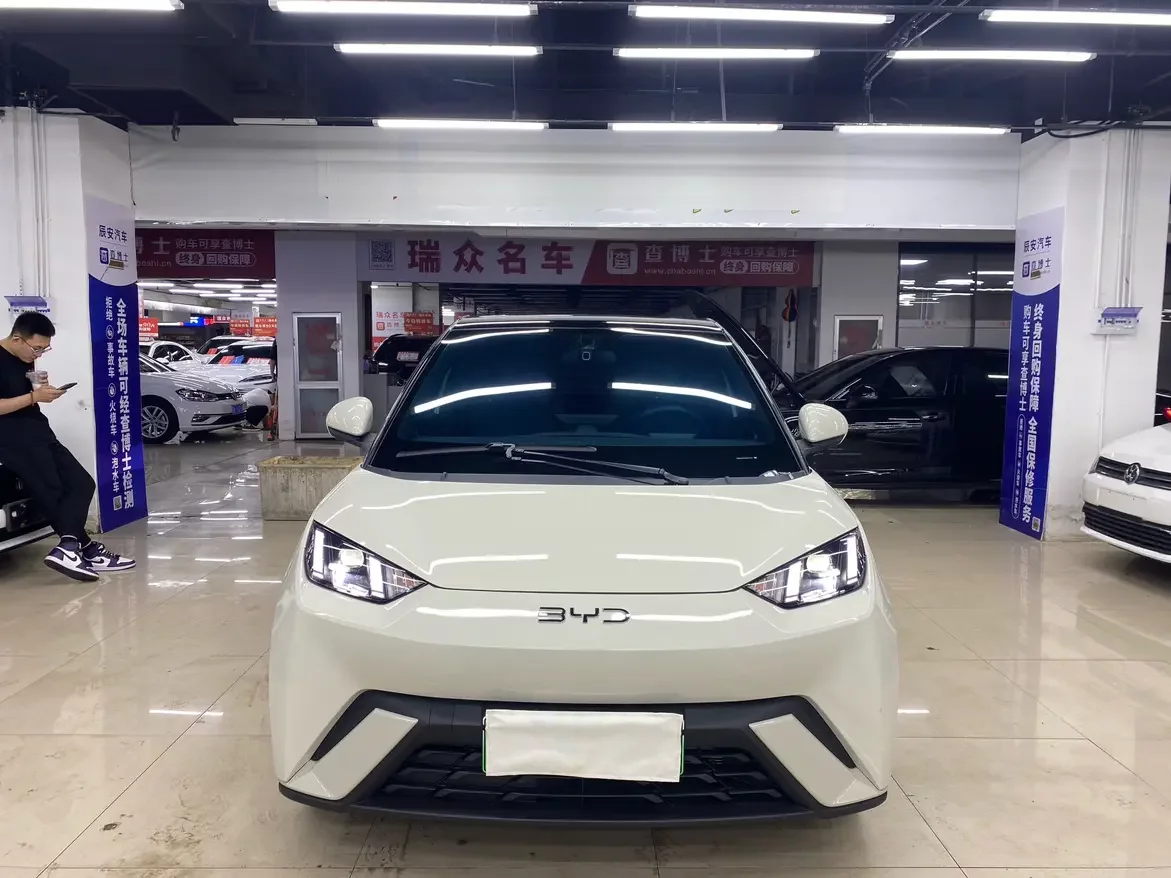 BYD seagull