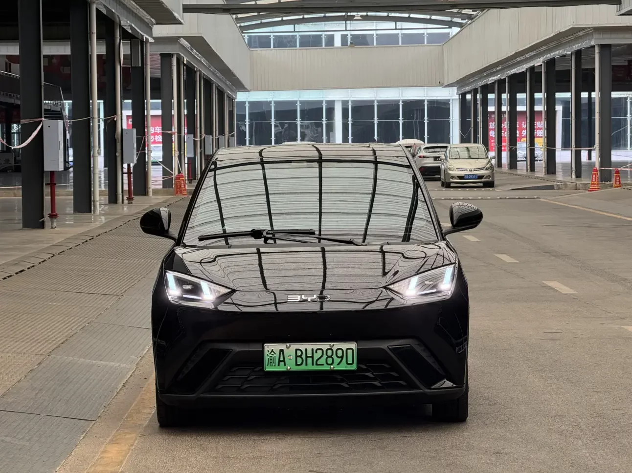 BYD seagull