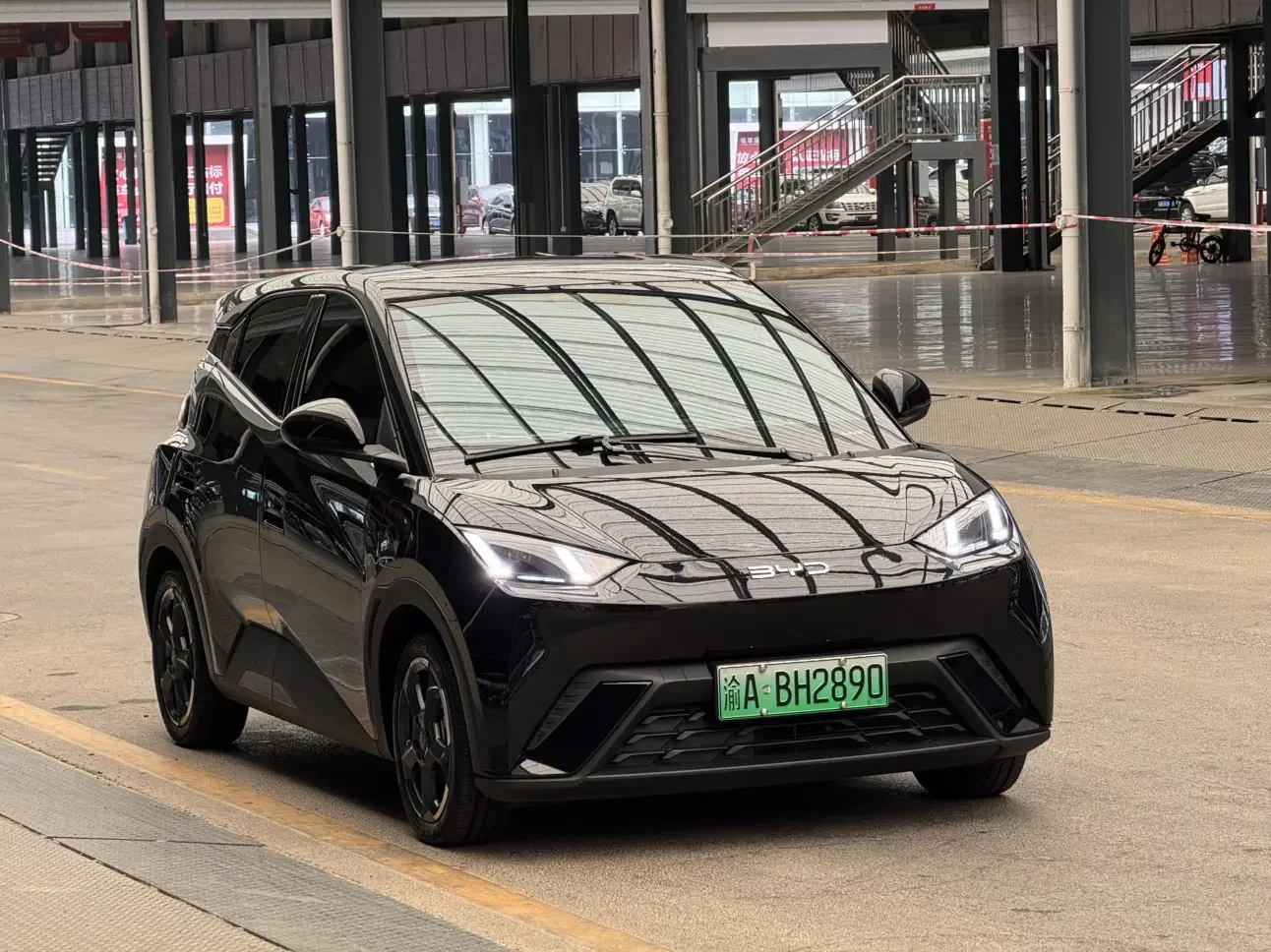 BYD seagull