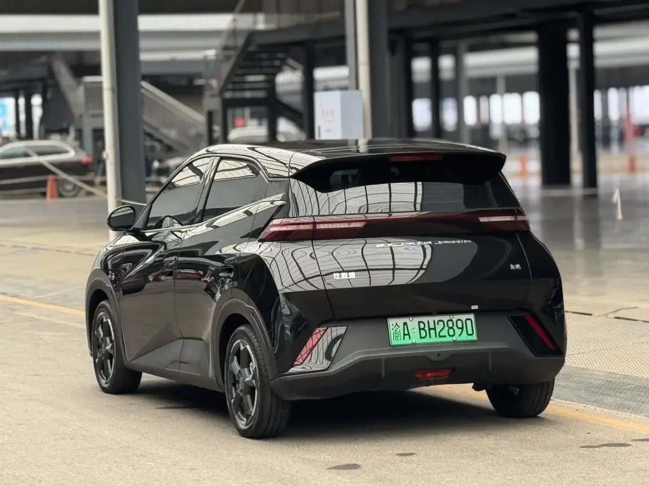 BYD seagull