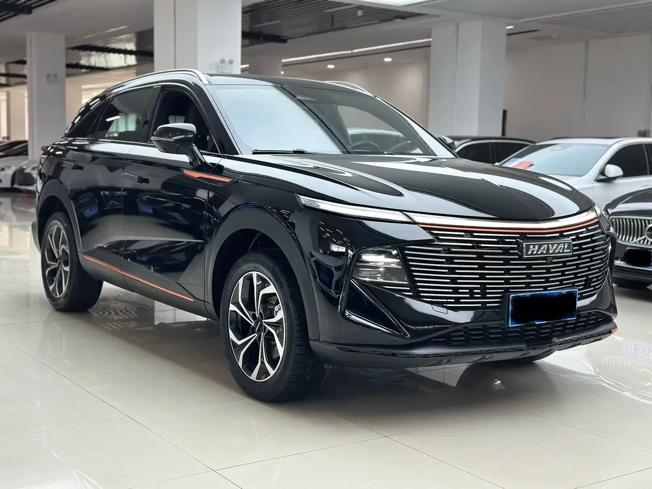 Haval Shenshou