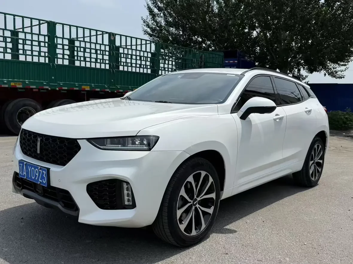 Wey Wei brand VV7