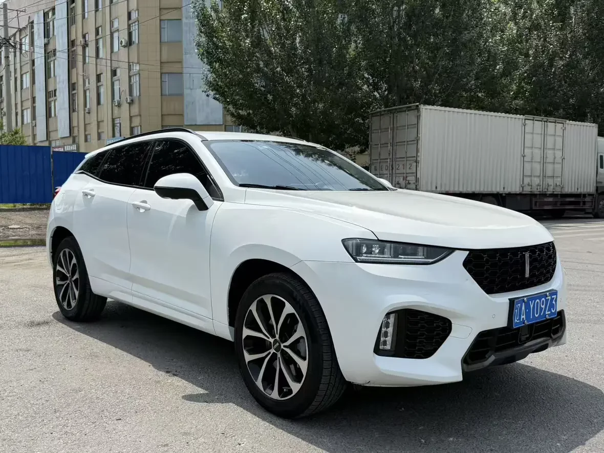 Wey Wei brand VV7