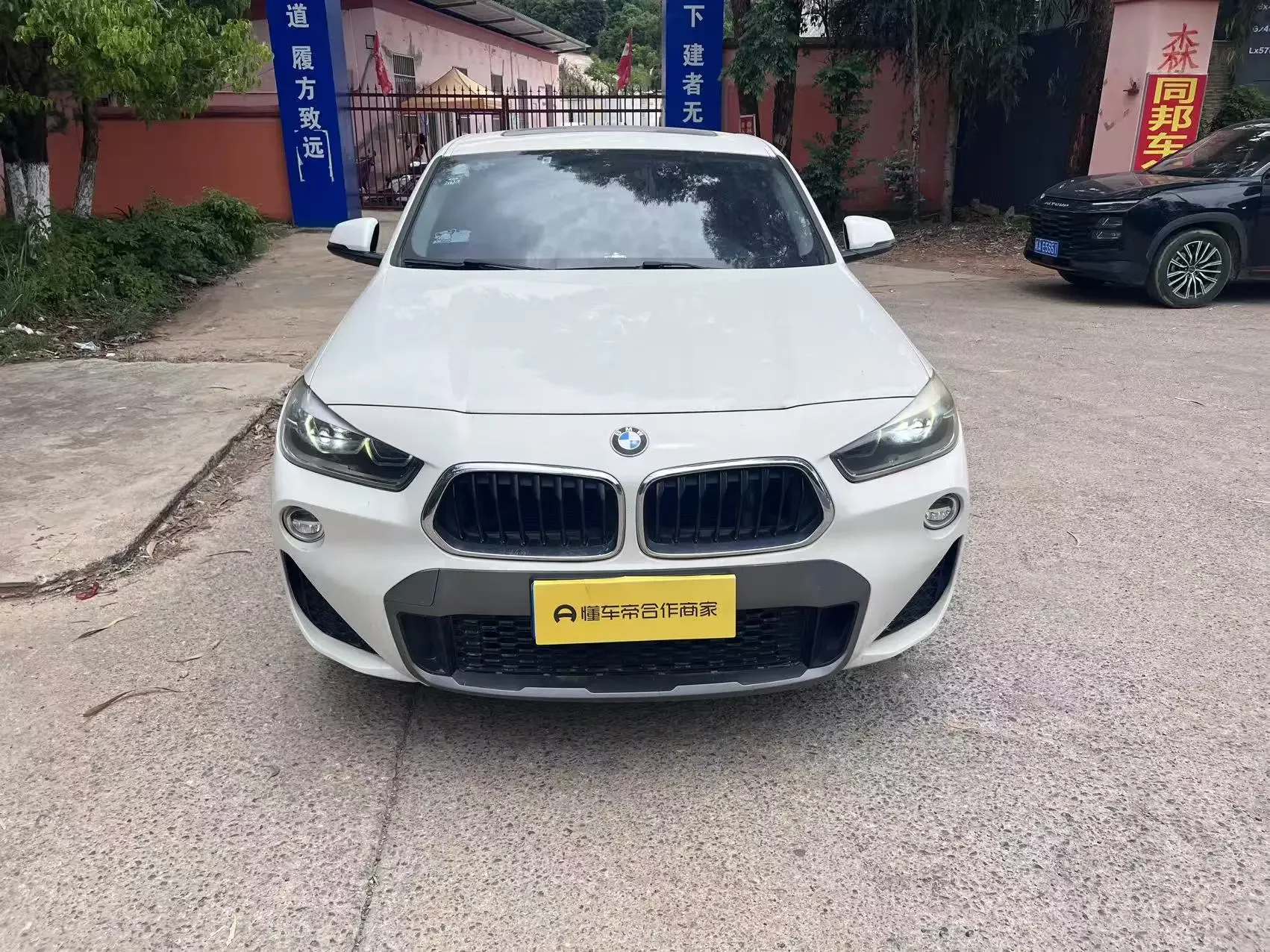 BMW X2