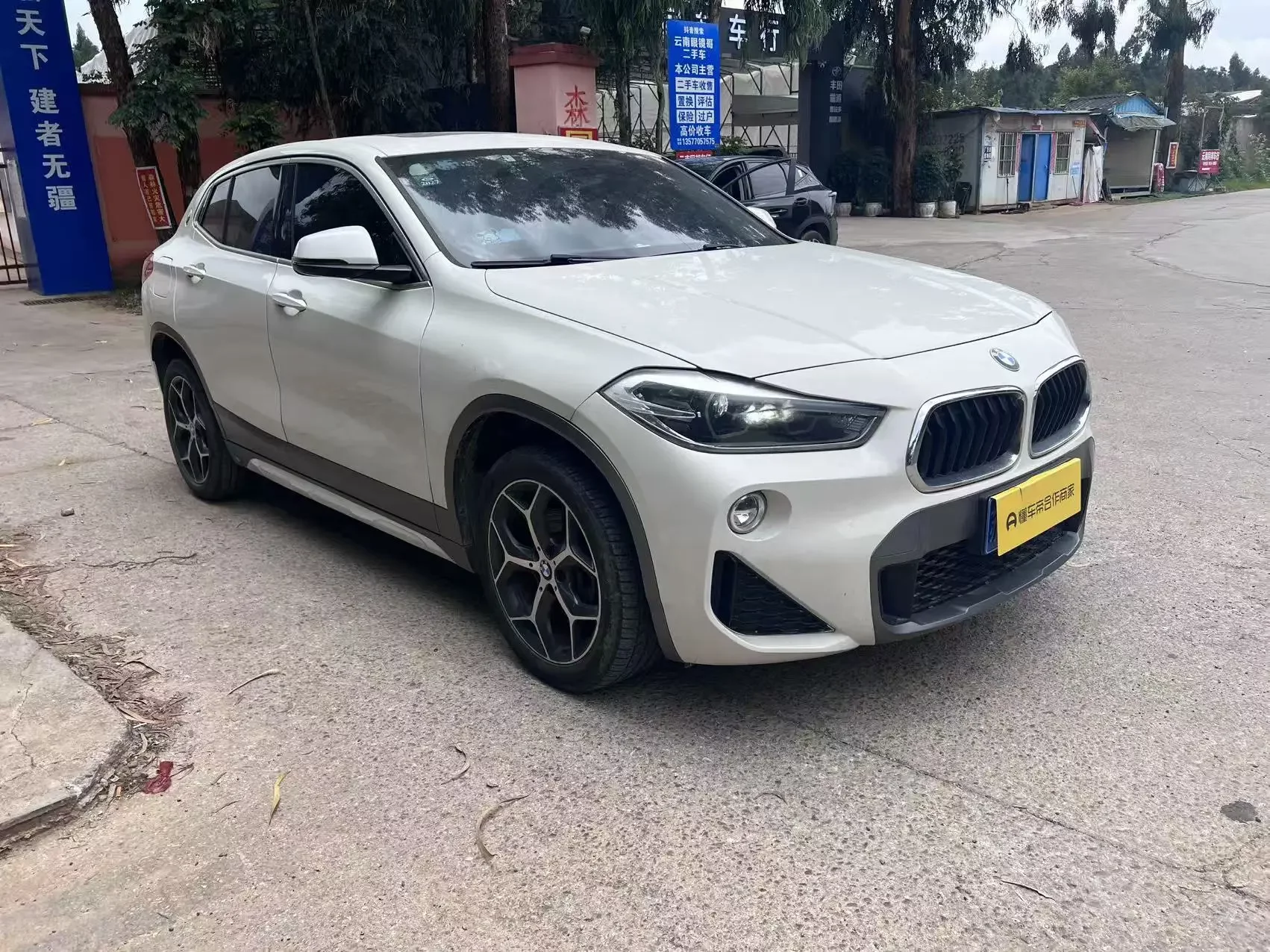 BMW X2