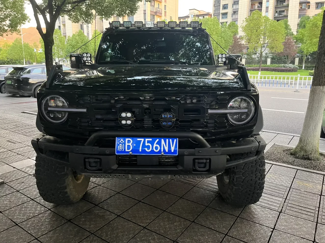 Ford rama  из Китая