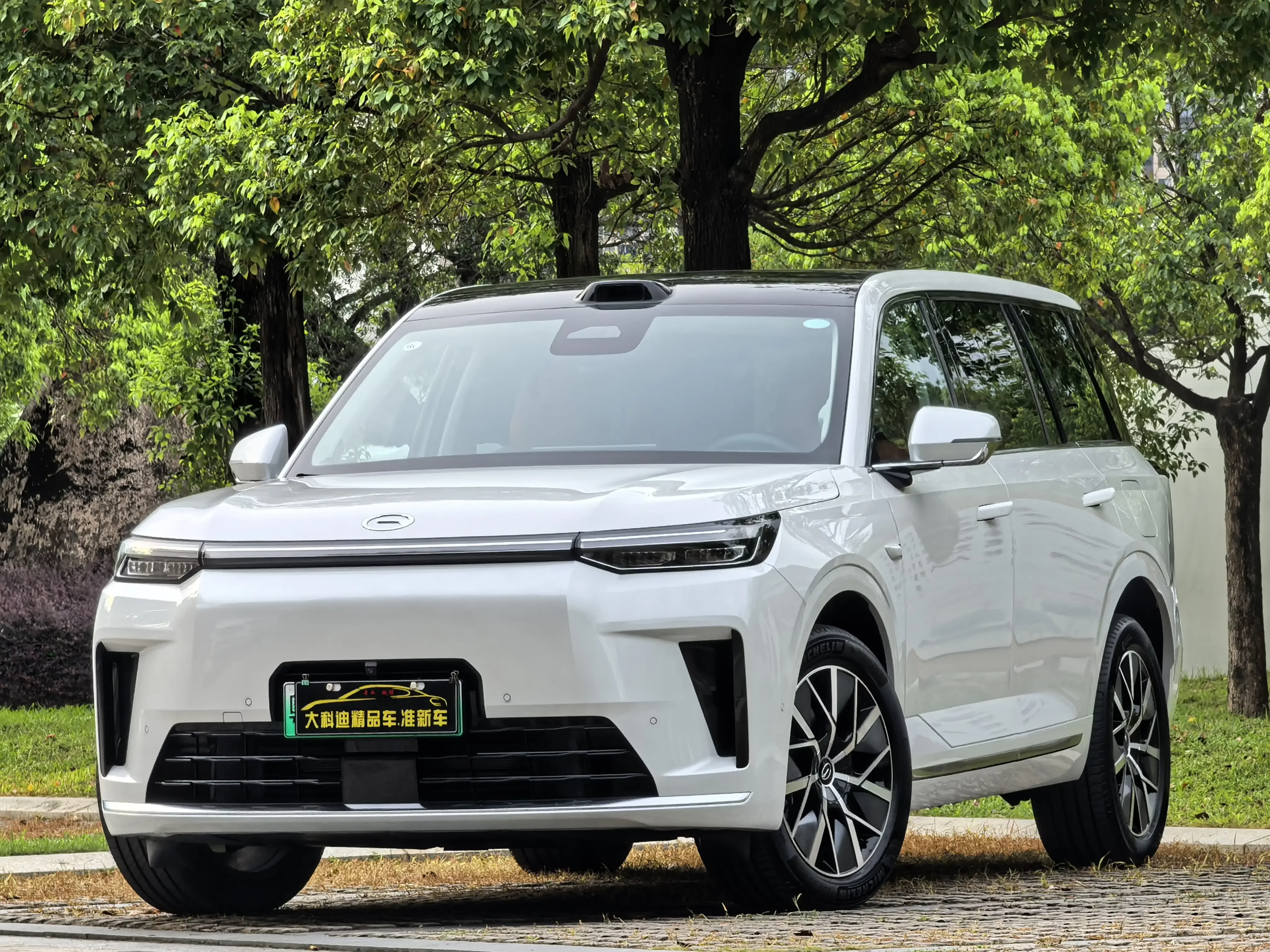 GAC Trumpchi Yearns for S9