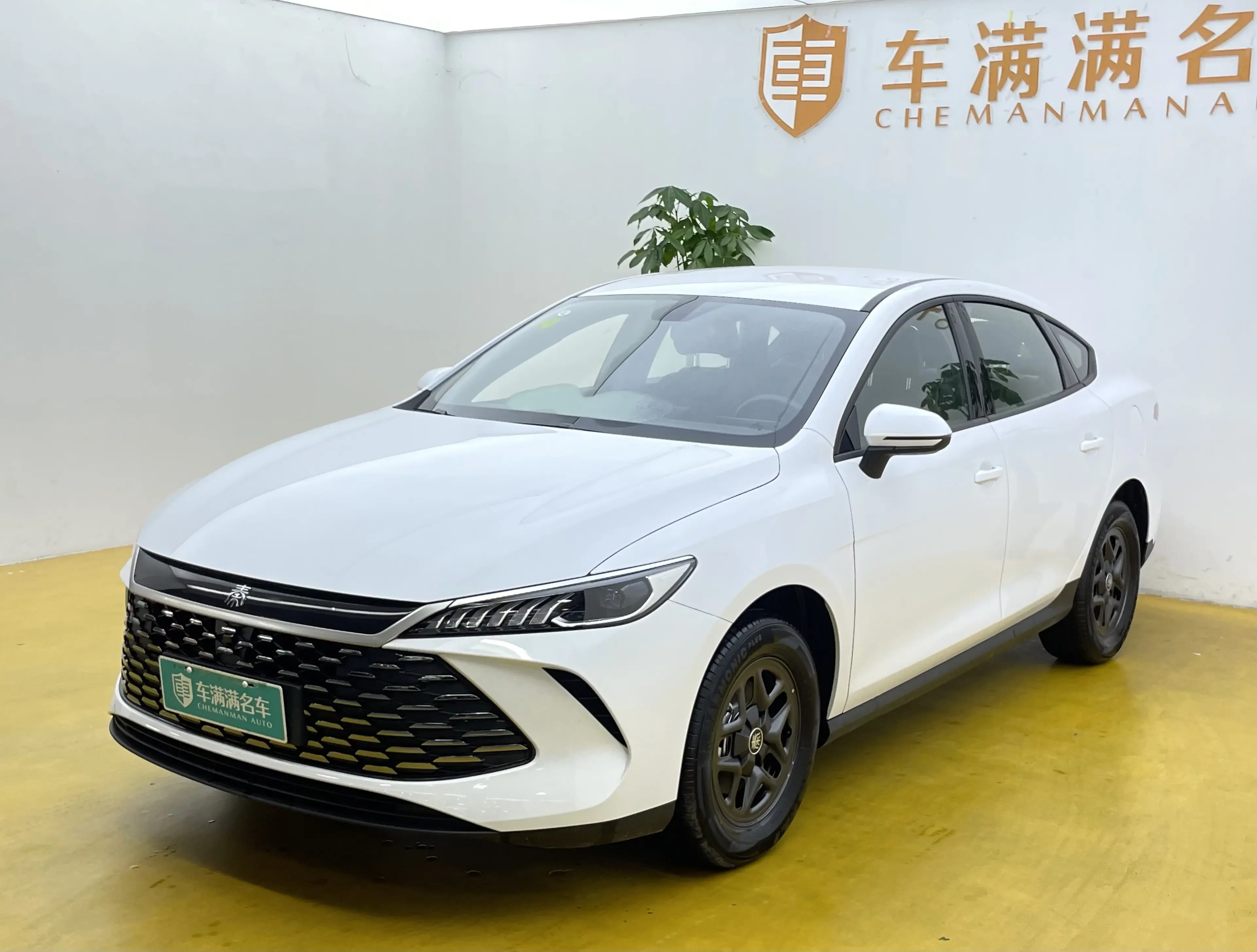 BYD Qin PLUS DM