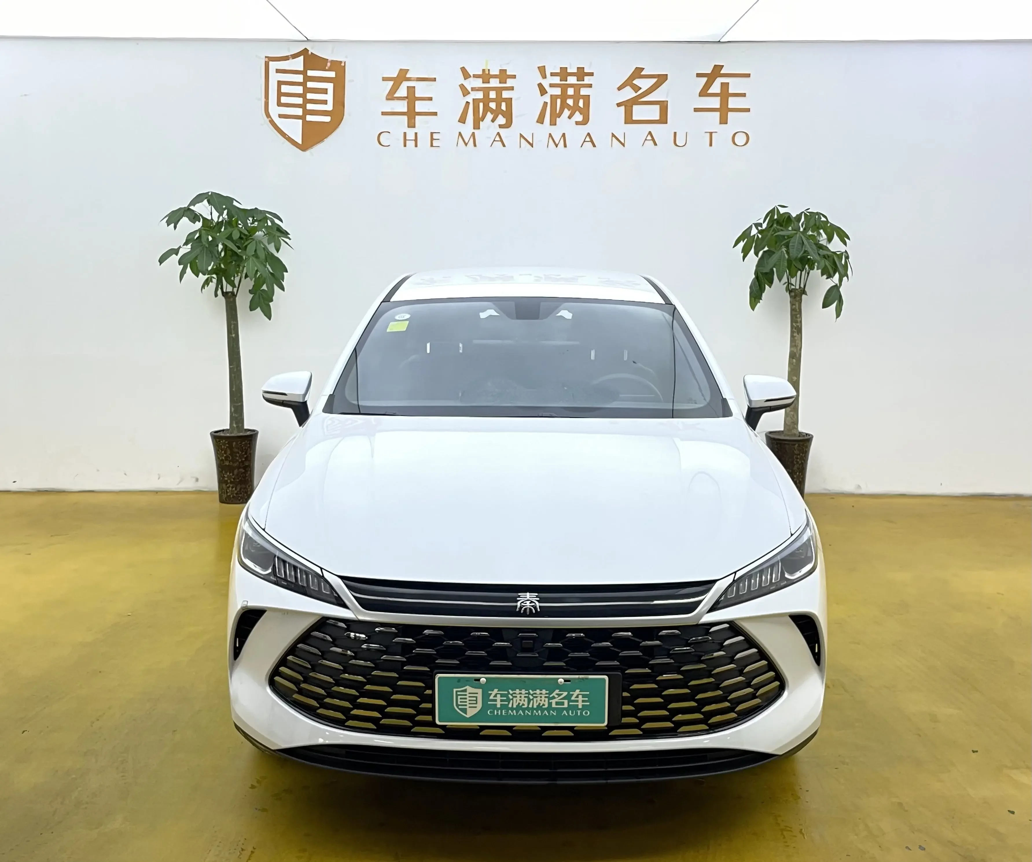 BYD Qin PLUS DM