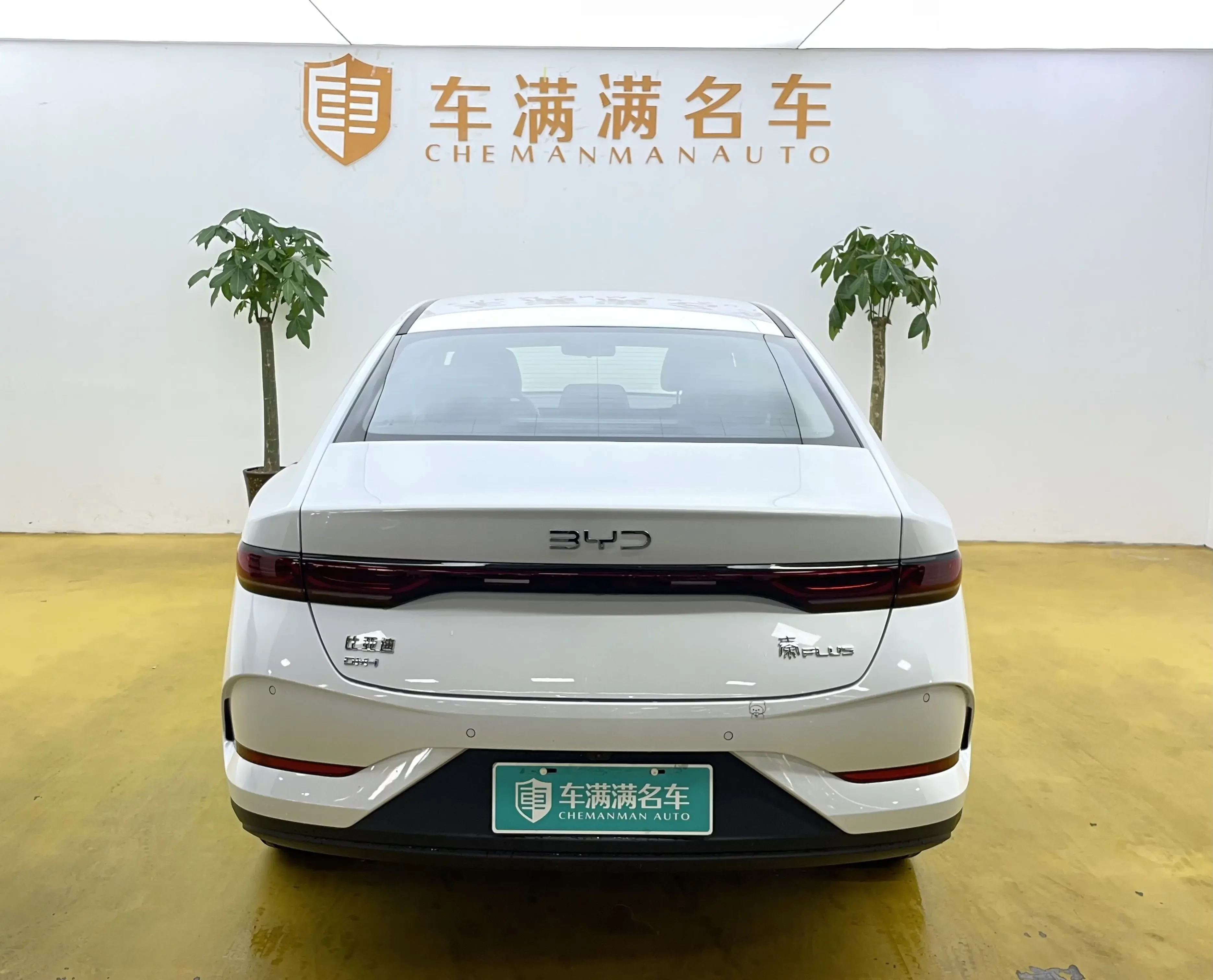 BYD Qin PLUS DM