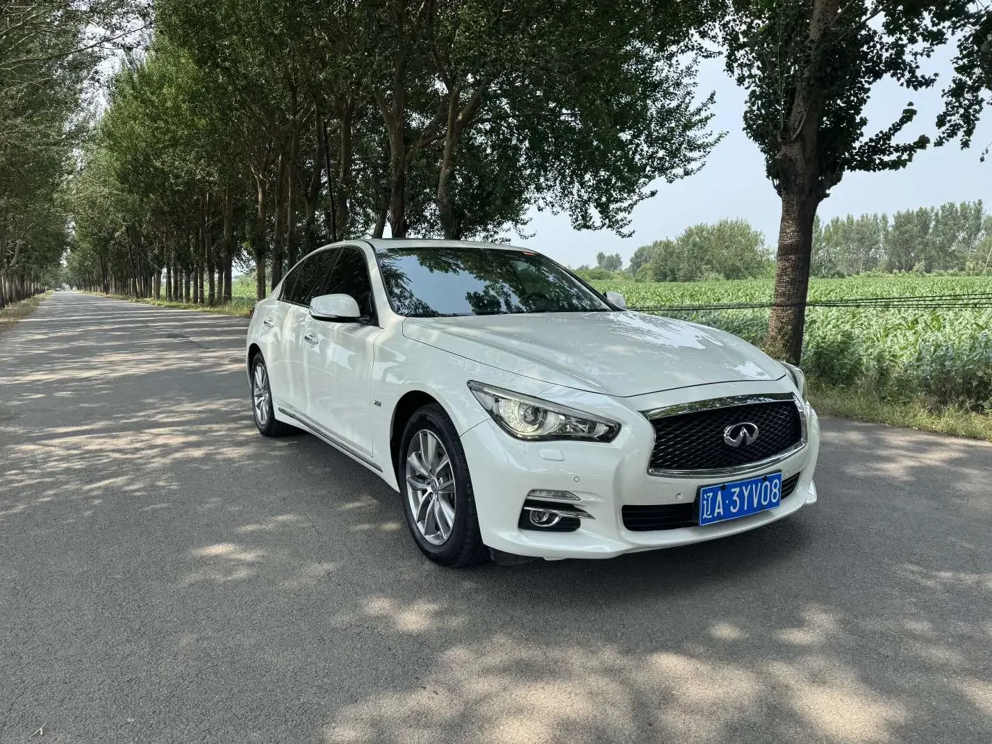 Infiniti Q50L