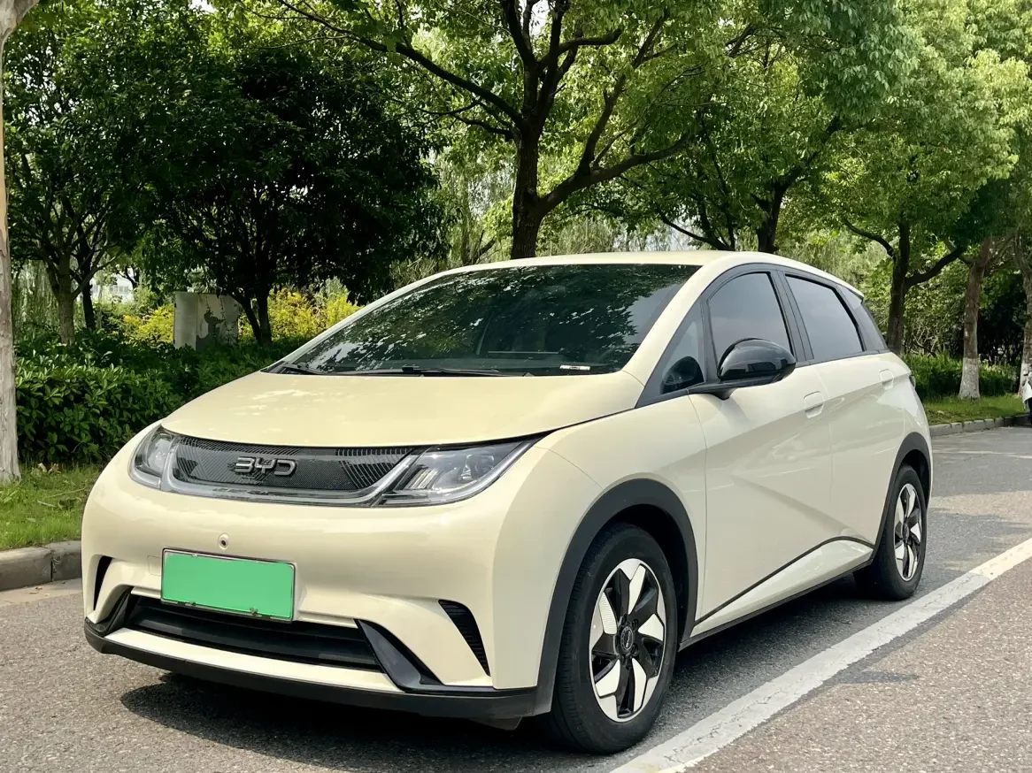 BYD dolphin