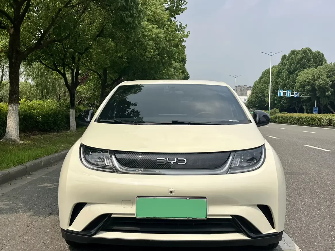 BYD dolphin