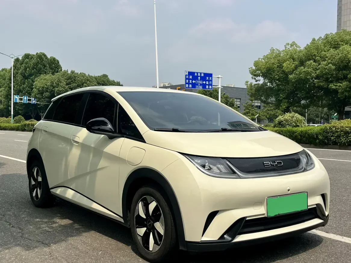 BYD dolphin