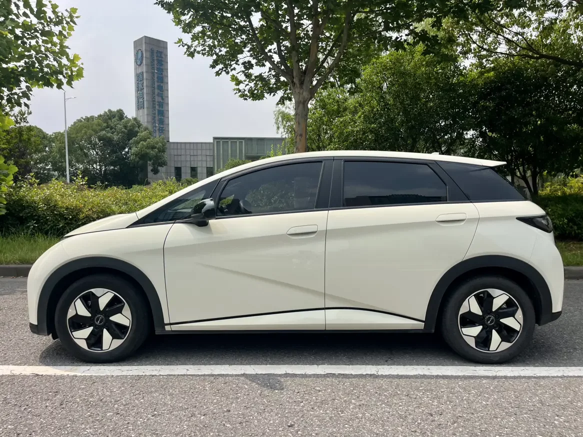 BYD dolphin