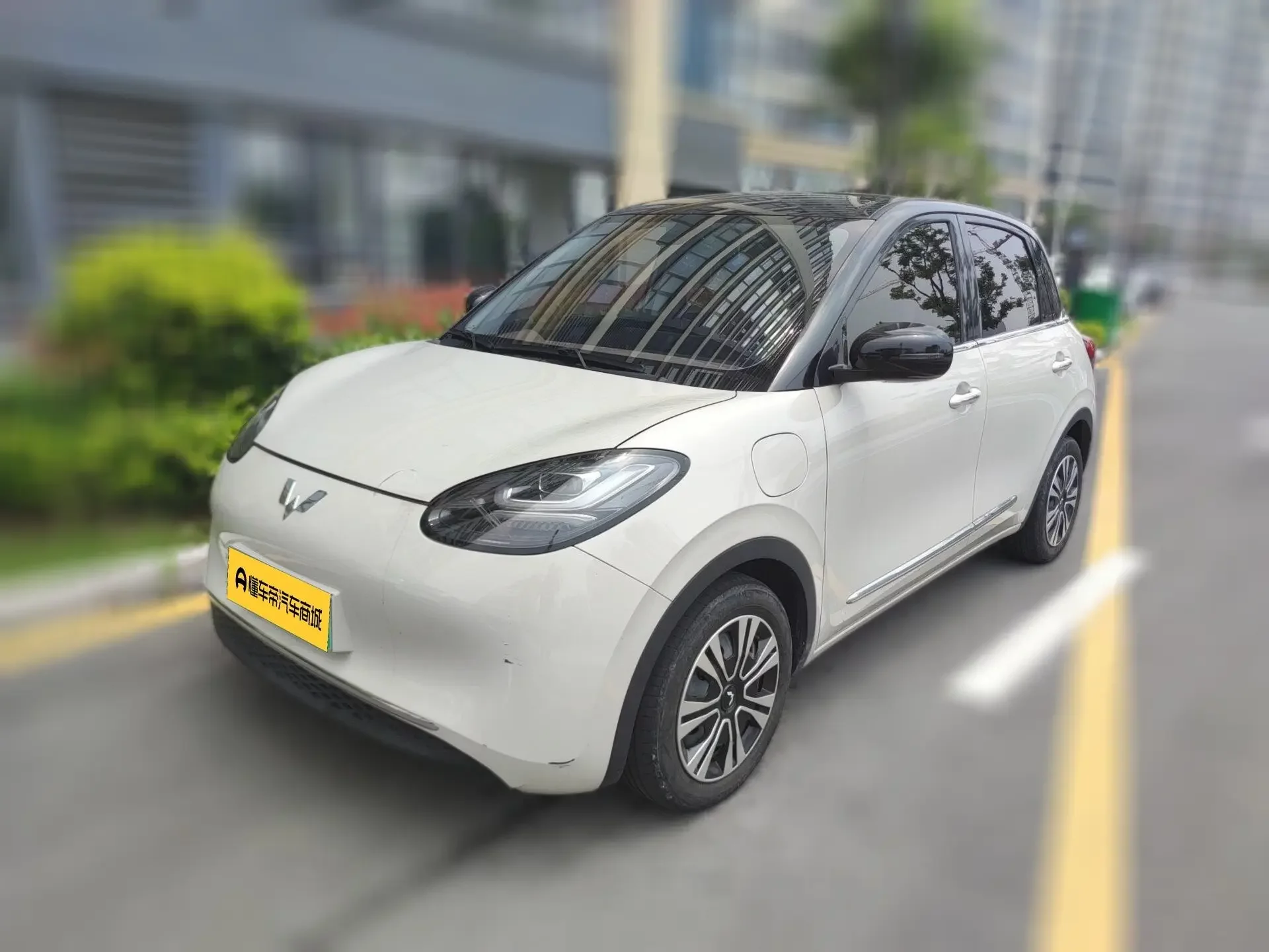 Wuling Bingo