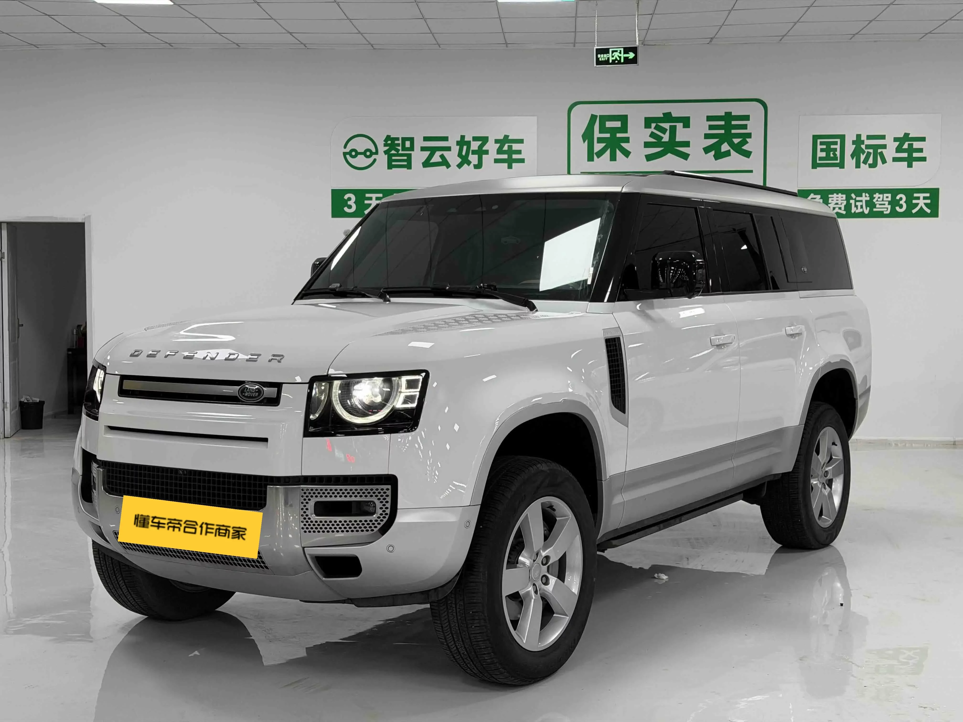 Land Rover guard