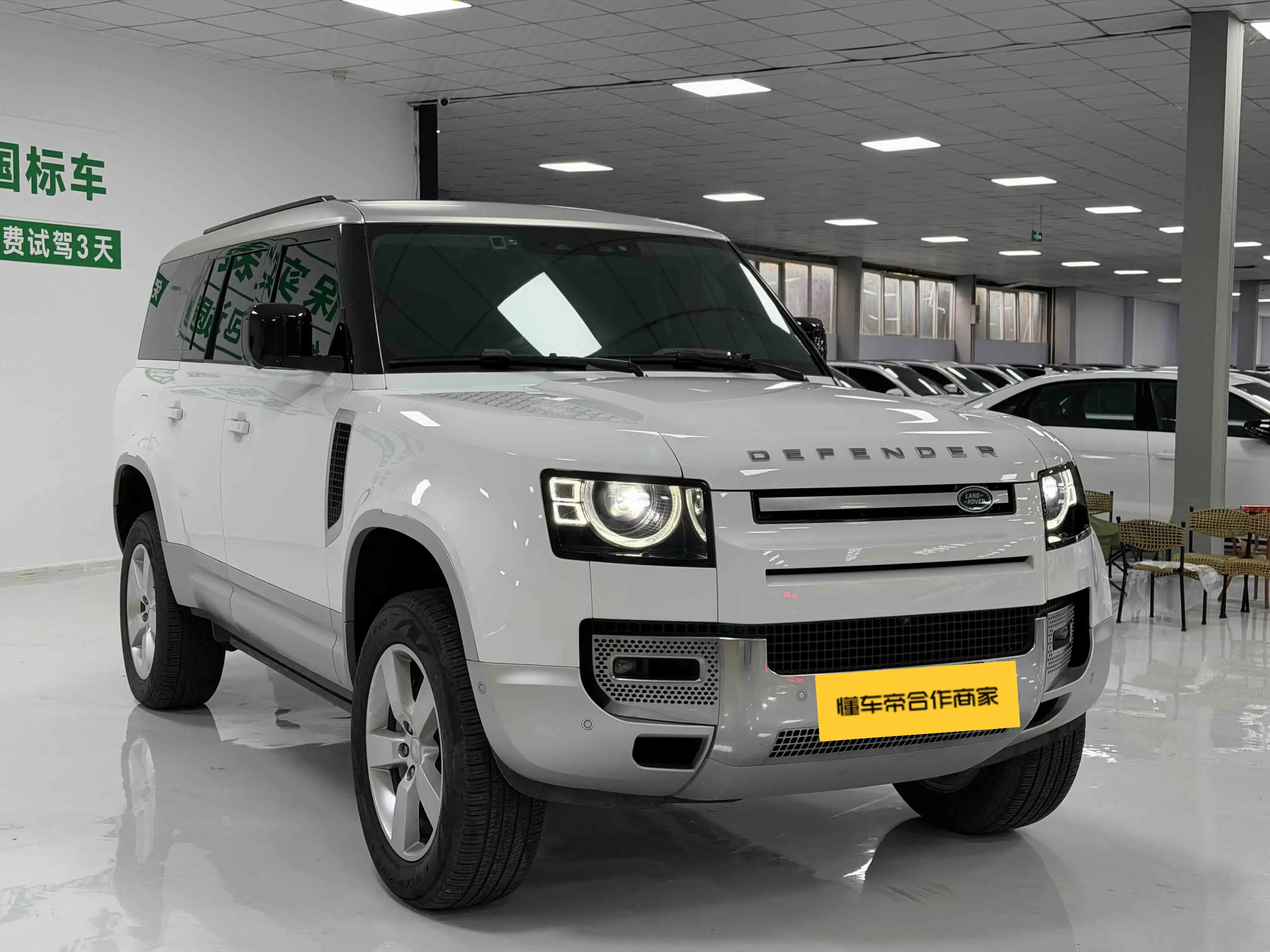 Land Rover guard