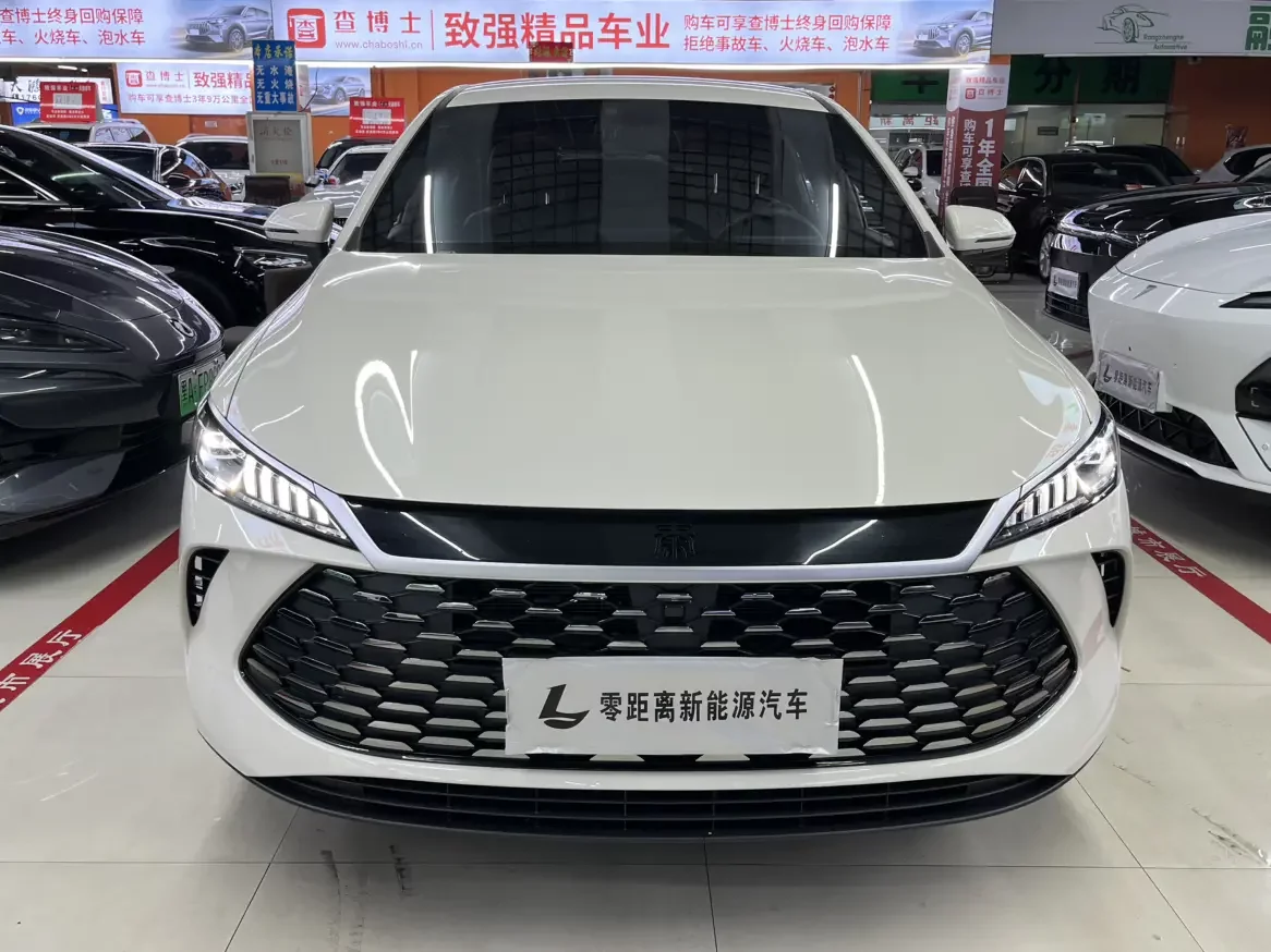BYD Qin PLUS DM