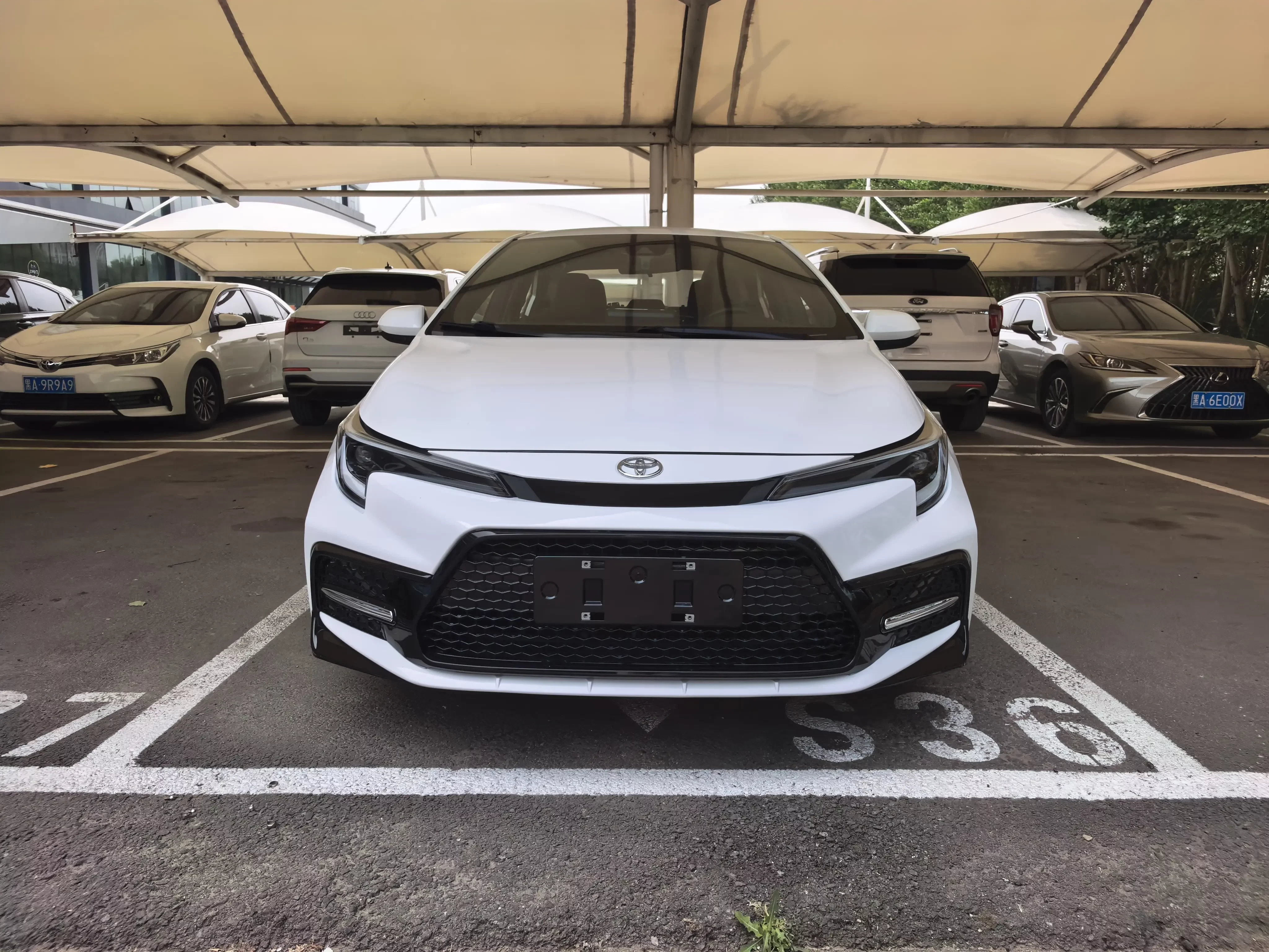 Toyota Levin