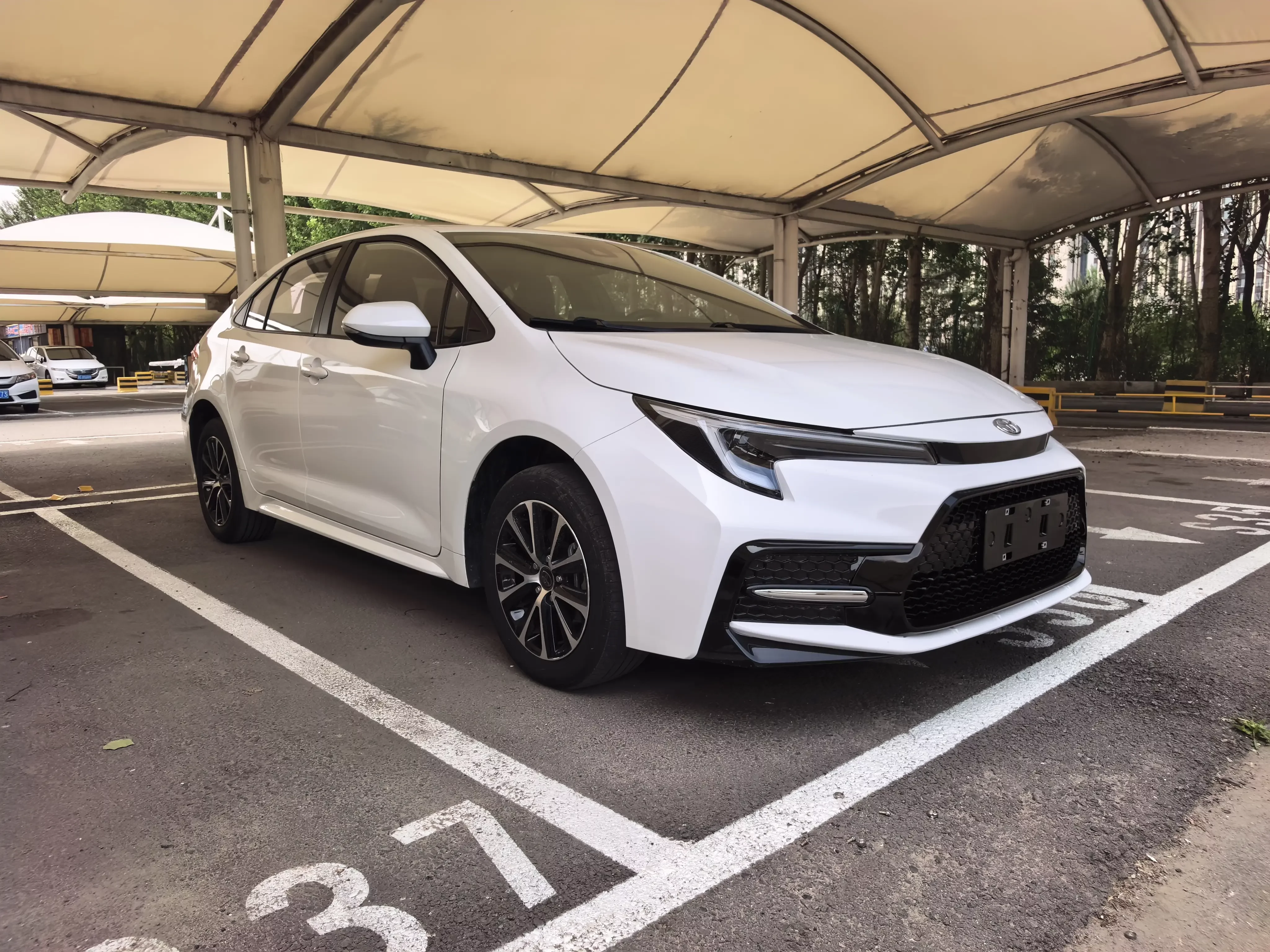 Toyota Levin