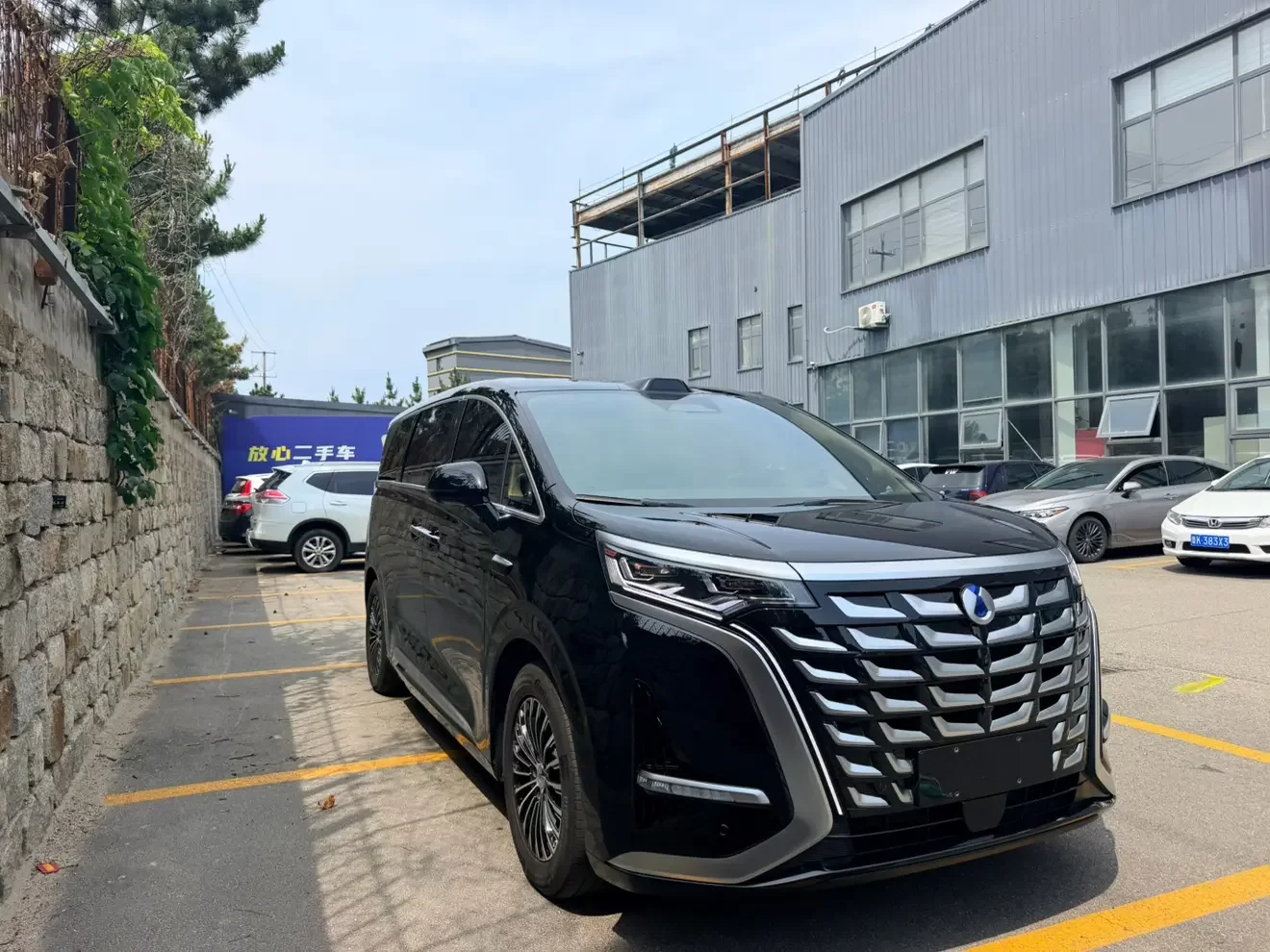Denza D9 DM