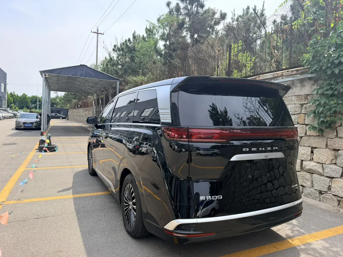 Denza D9 DM