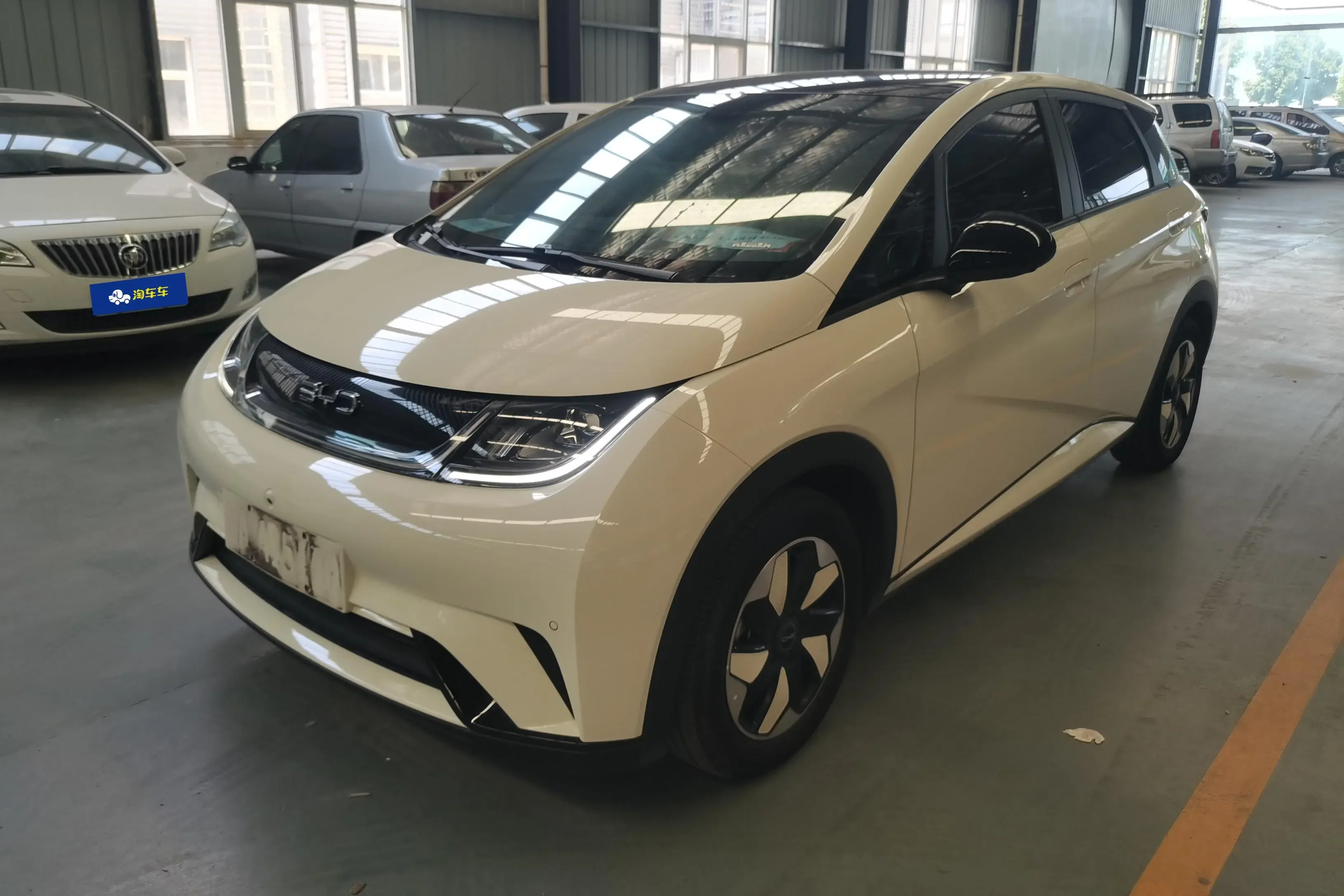 BYD dolphin