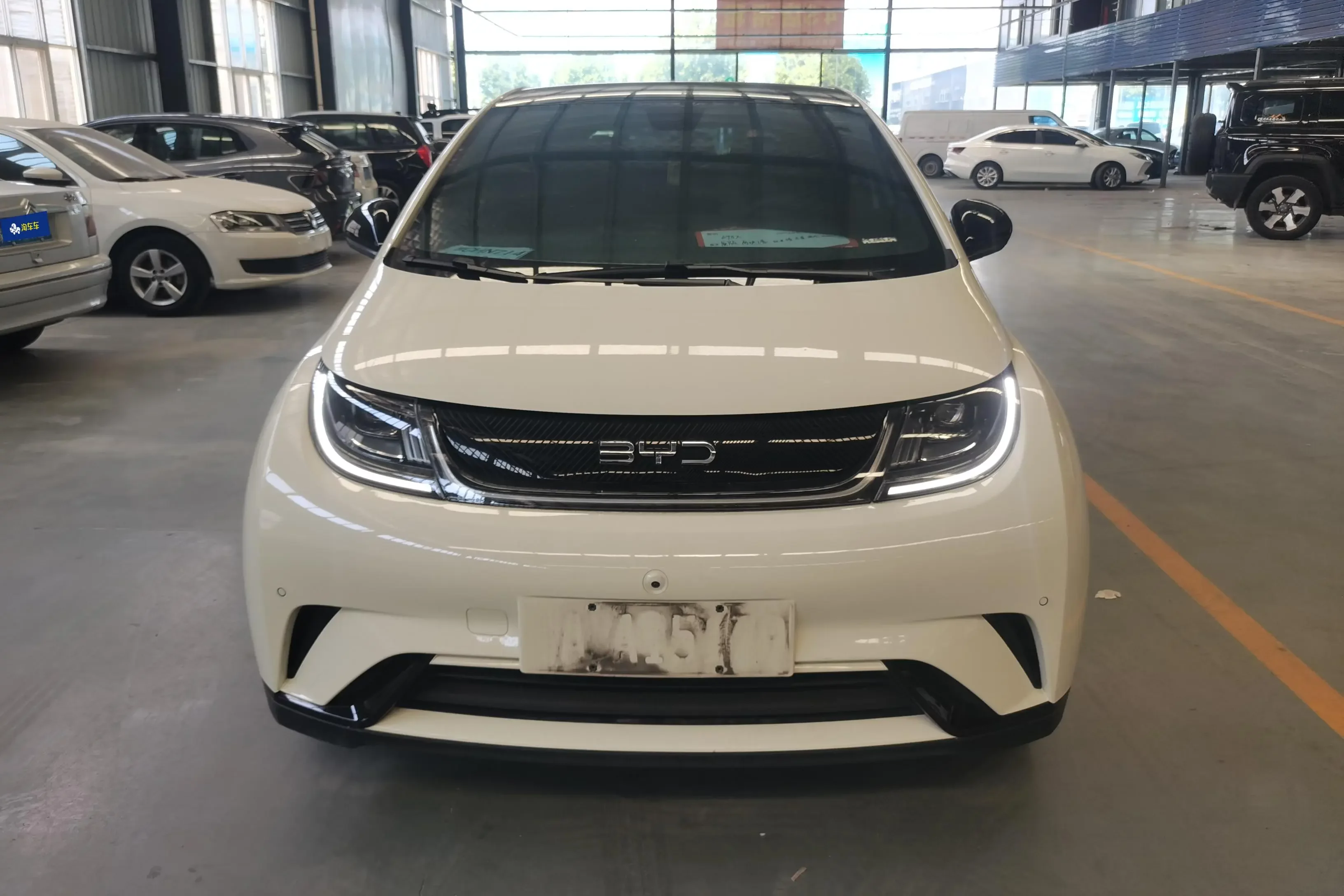 BYD dolphin