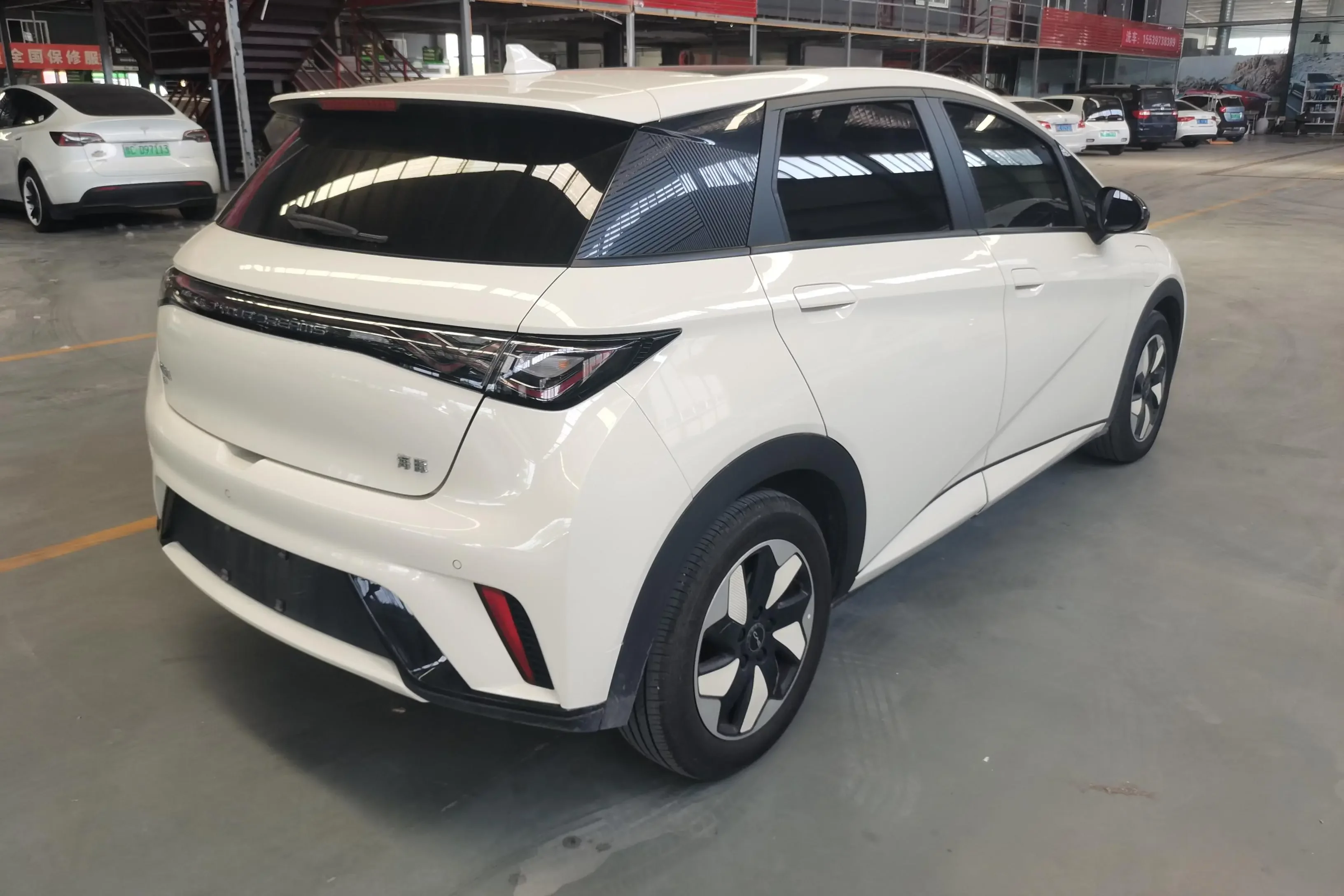 BYD dolphin