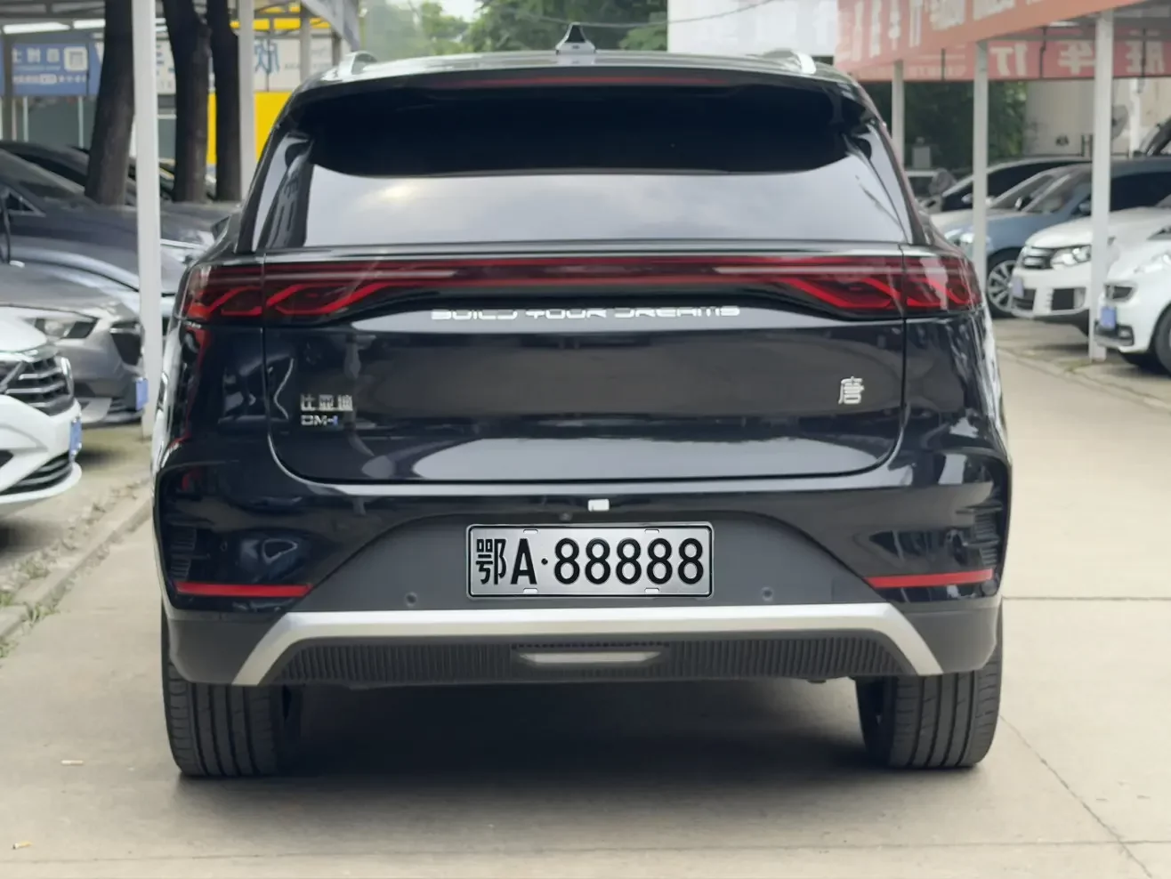 BYD Tang DM