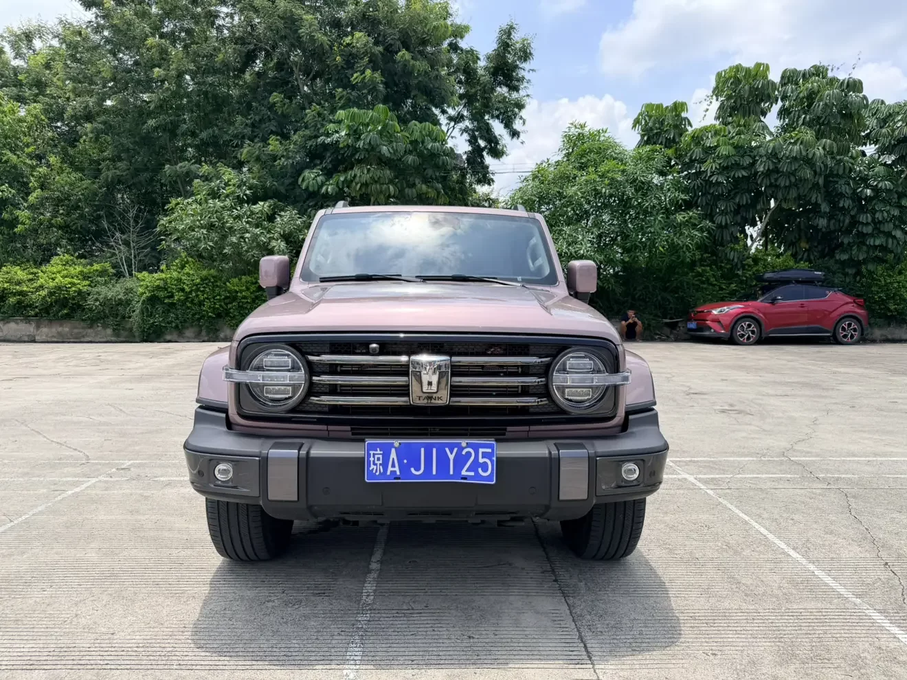 Tank 300