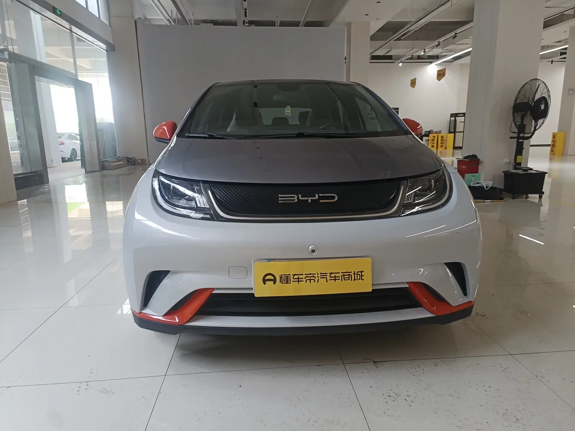 BYD dolphin