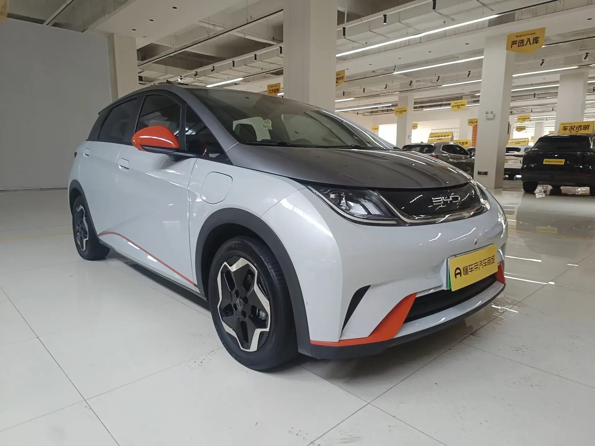BYD dolphin