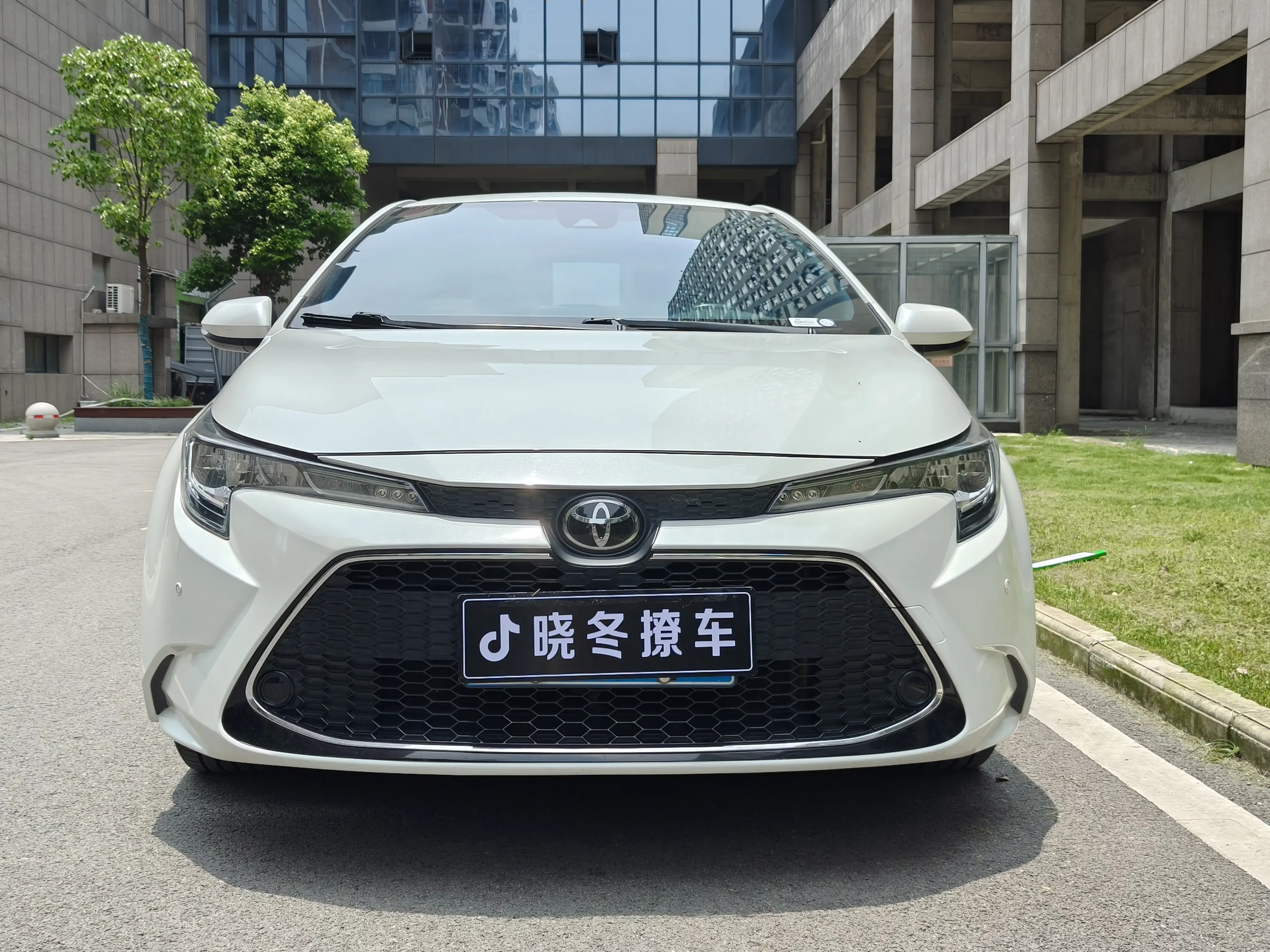 Toyota Levin