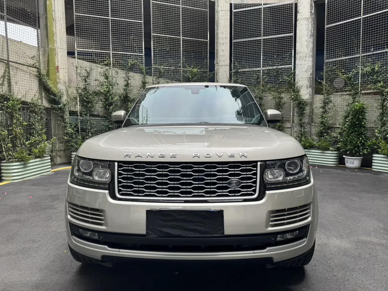 Land Rover range rover