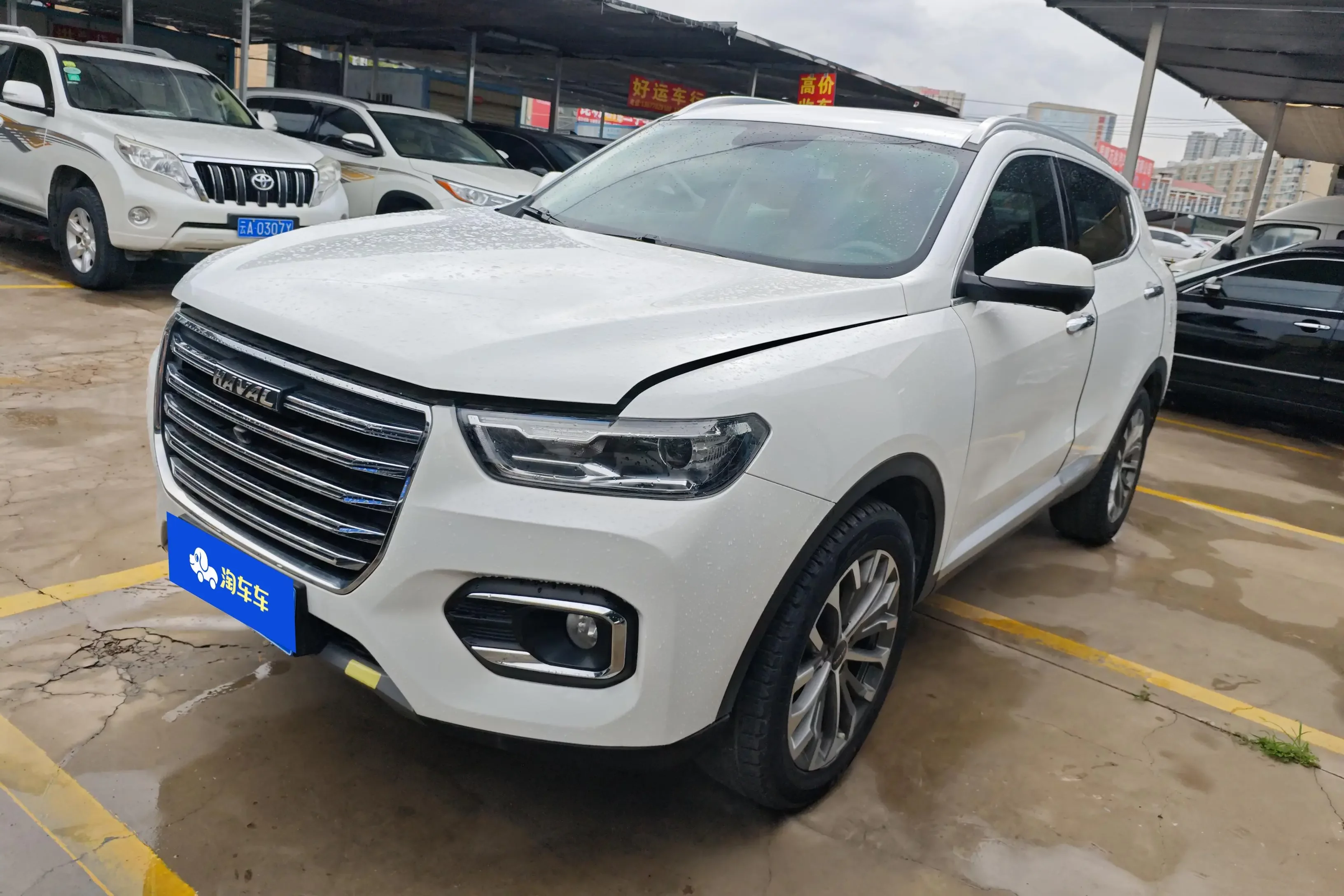 Haval H6