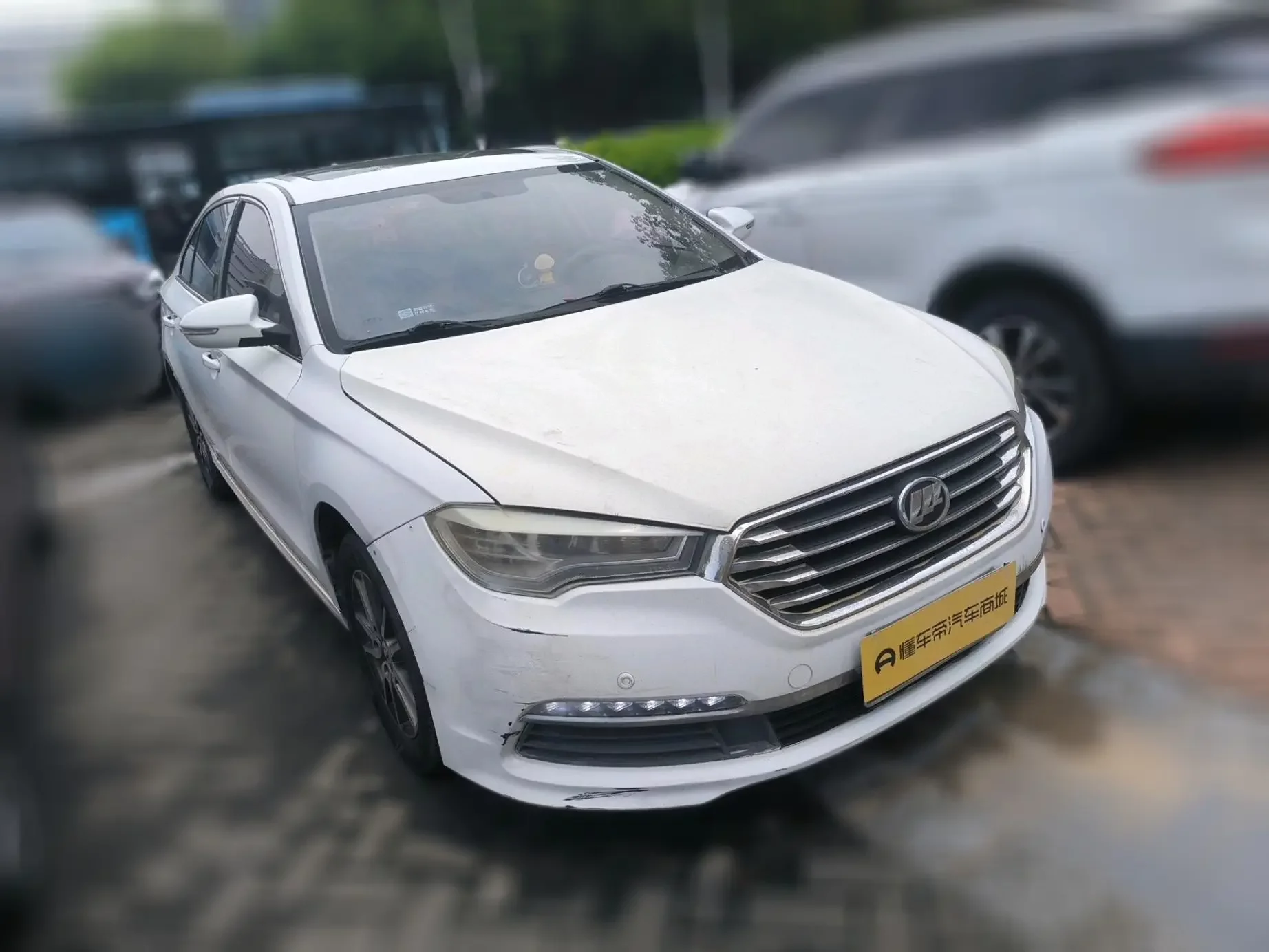 Lifan Murman