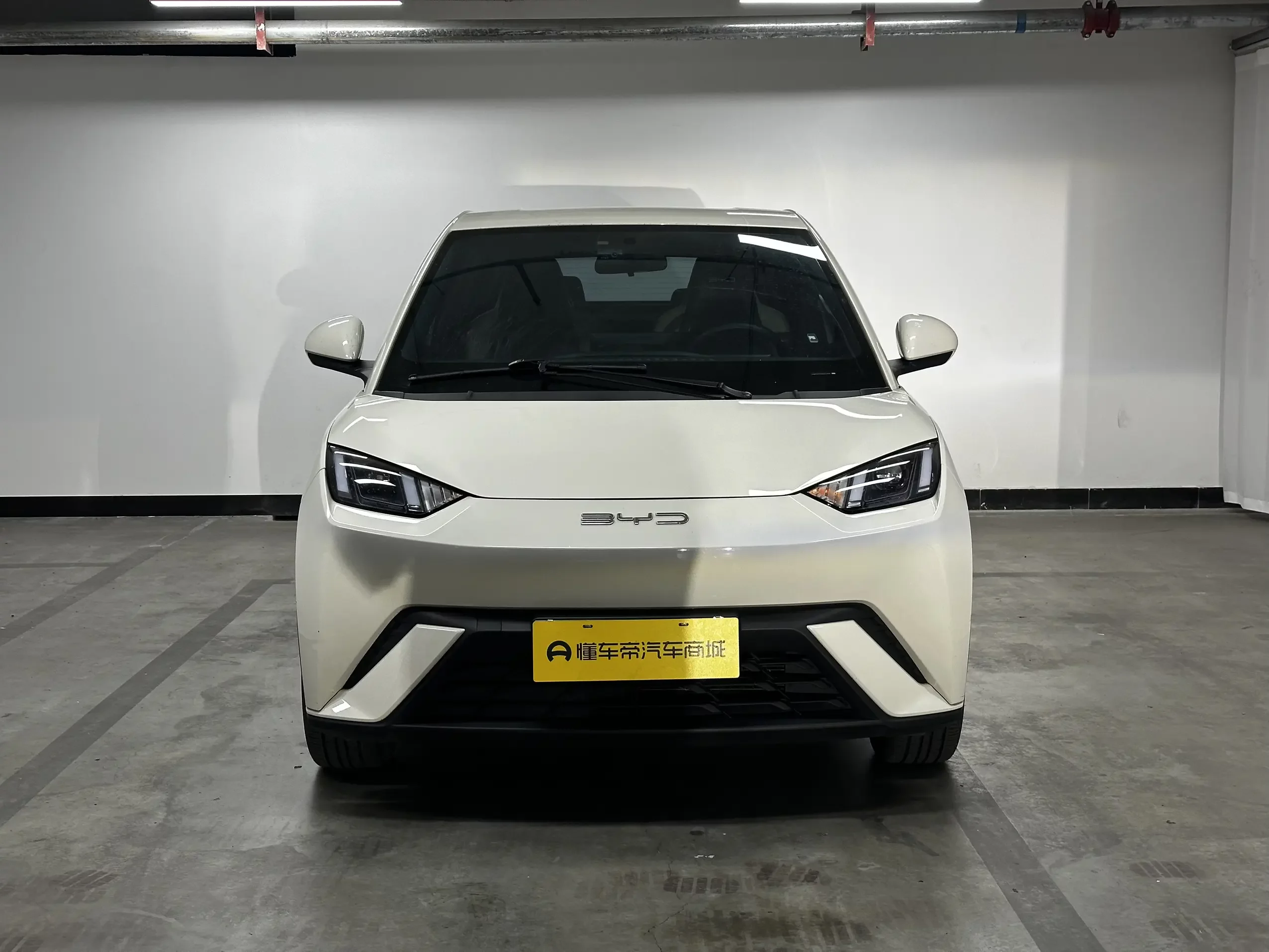 BYD seagull