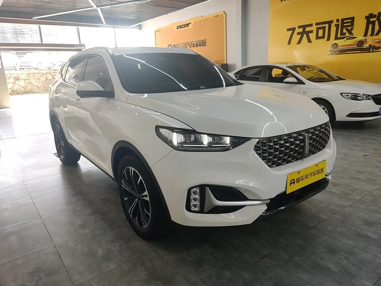 Wey Wei brand VV6