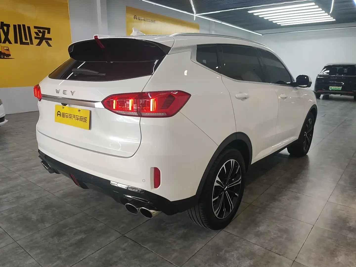 Wey Wei brand VV6
