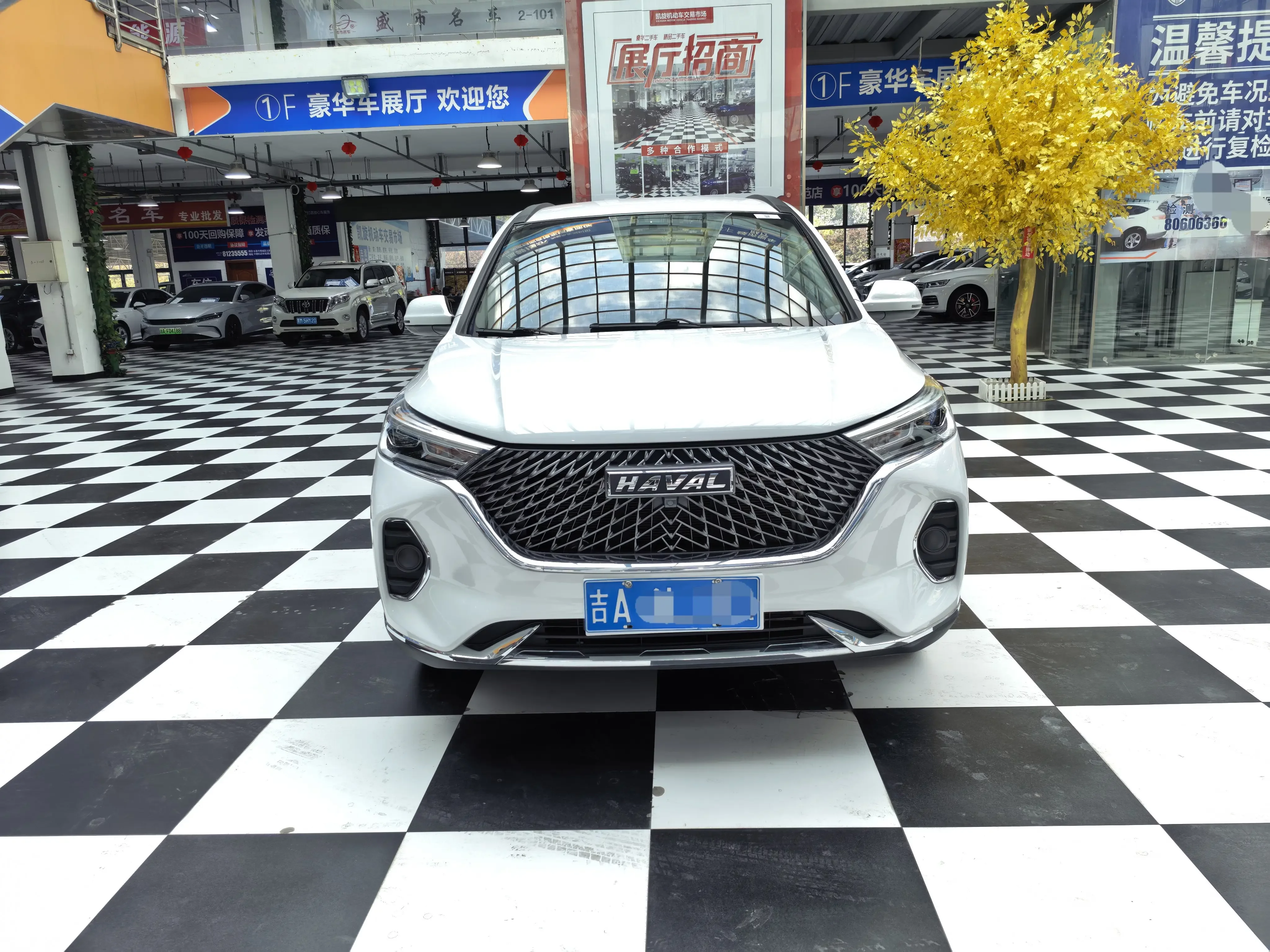 Haval M6  из Китая