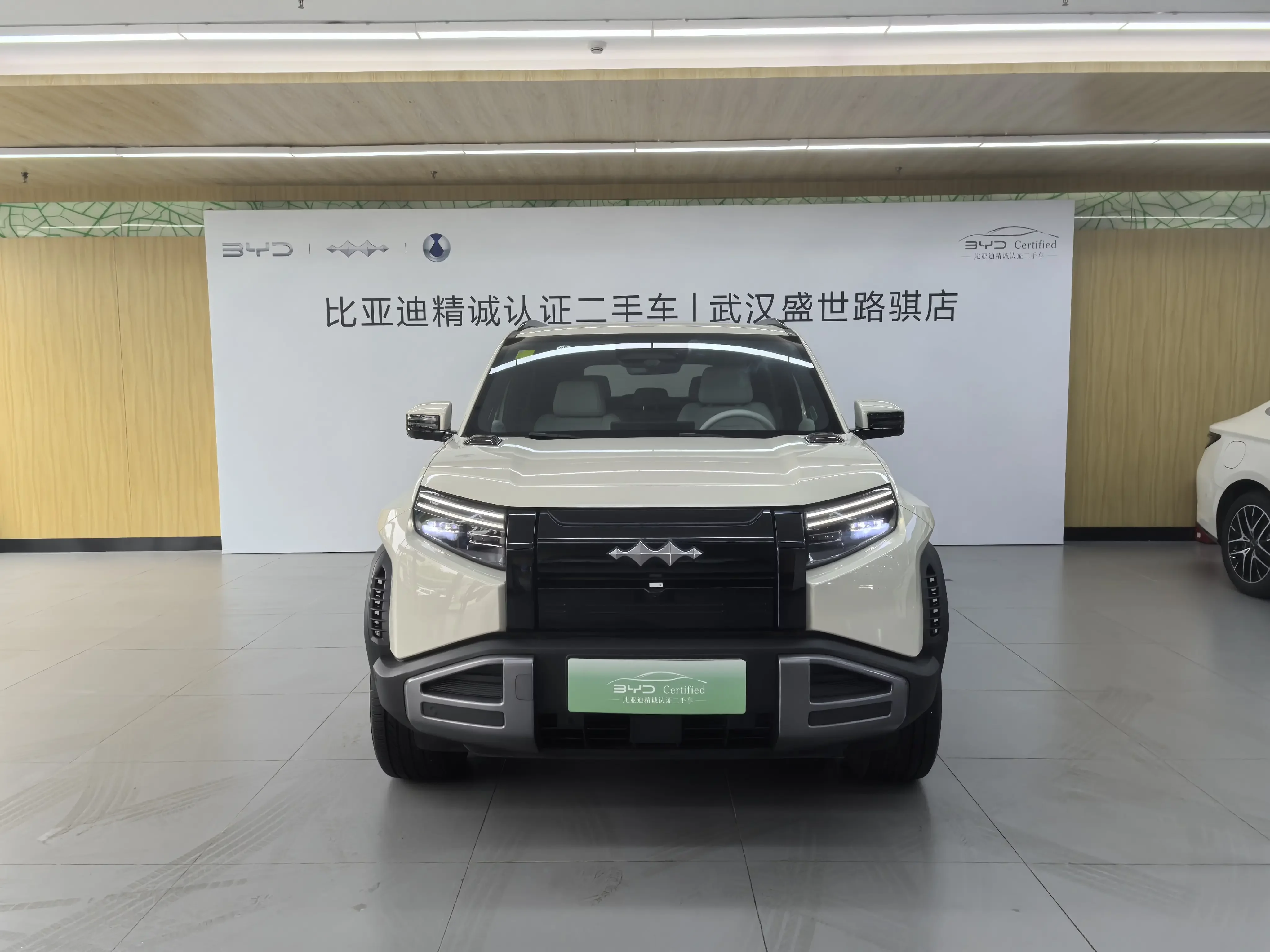 BYD Leopard Titanium 3