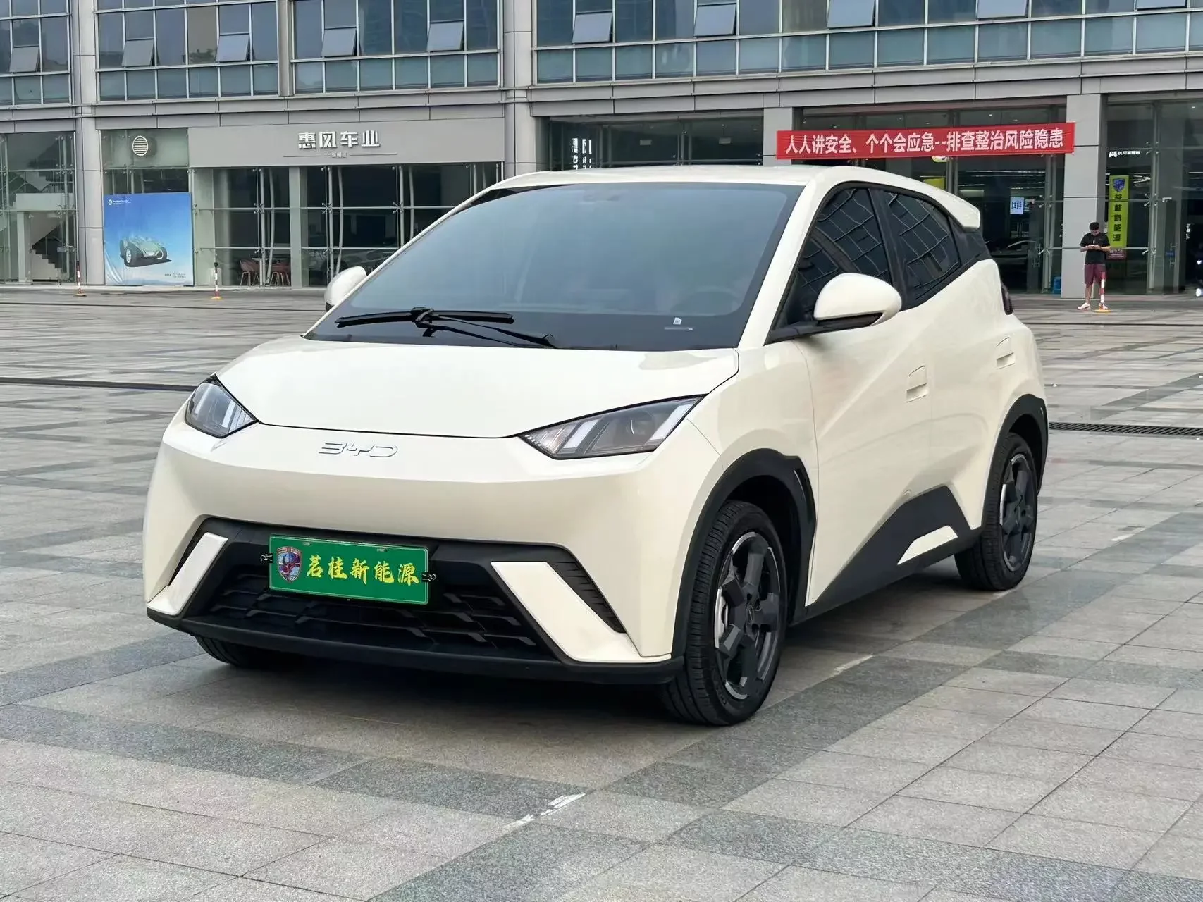 BYD seagull