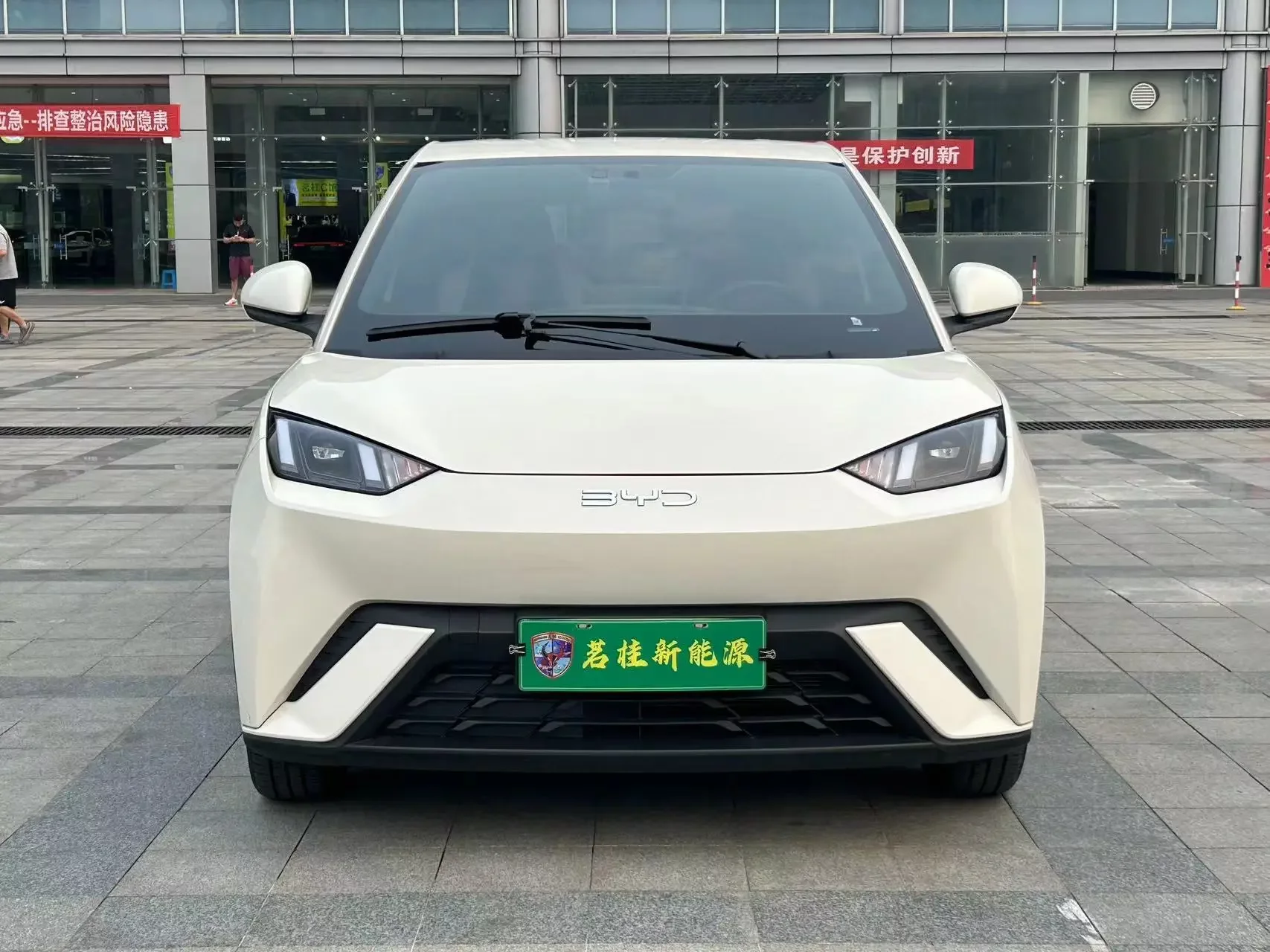 BYD seagull